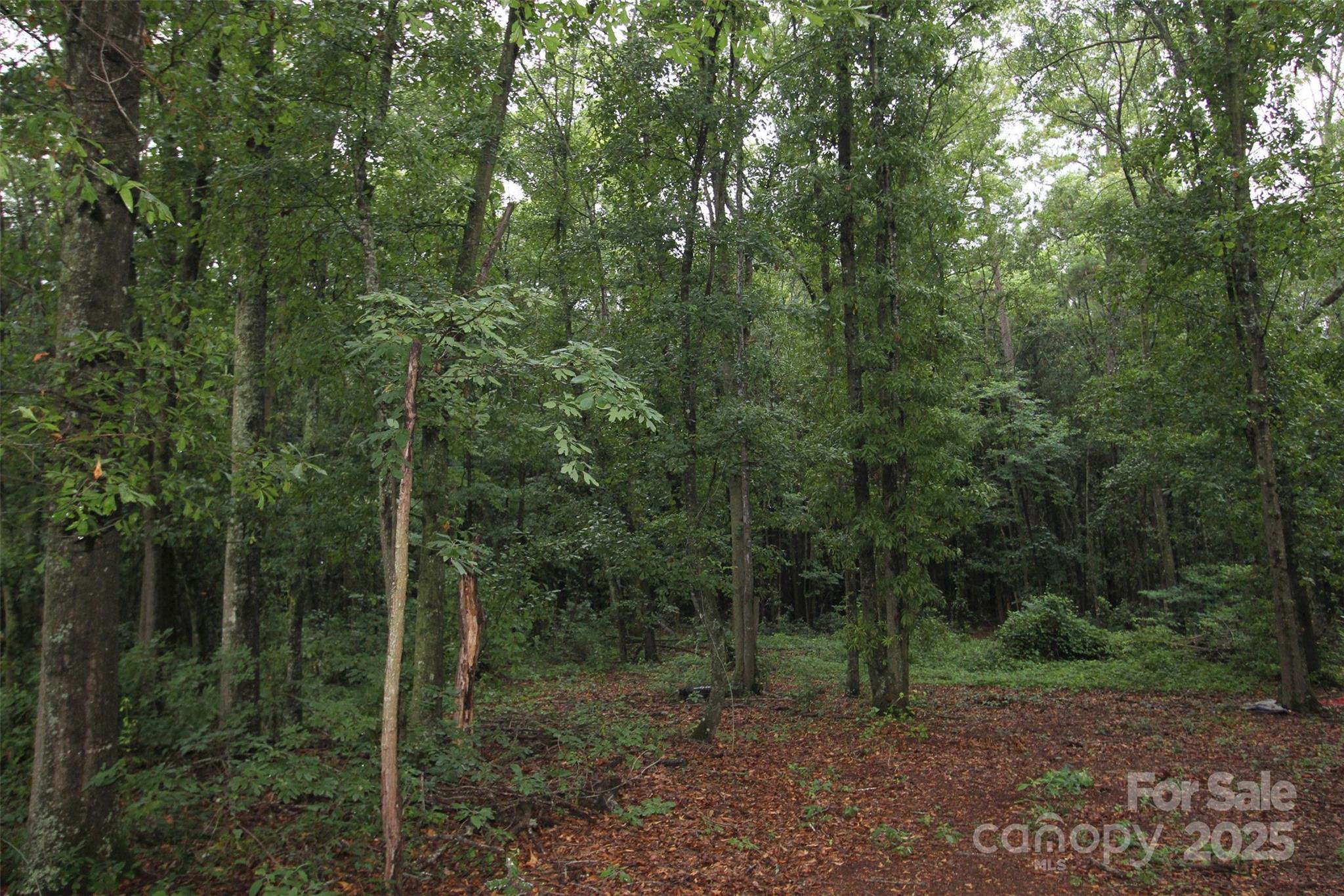 Tbd Rainbow Road Property Photo 3