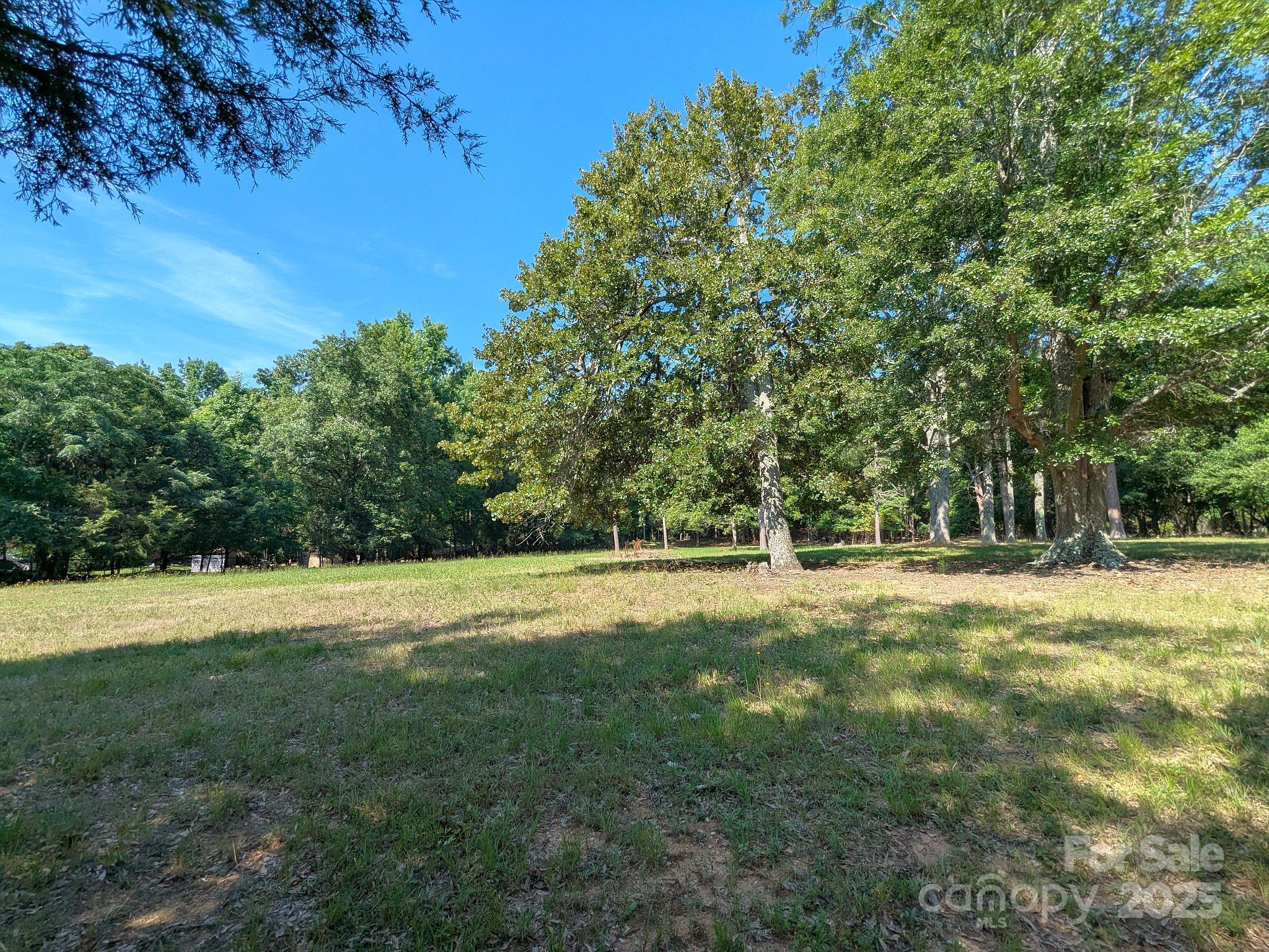 0000 Tract #1a Roddey Road Property Photo 1