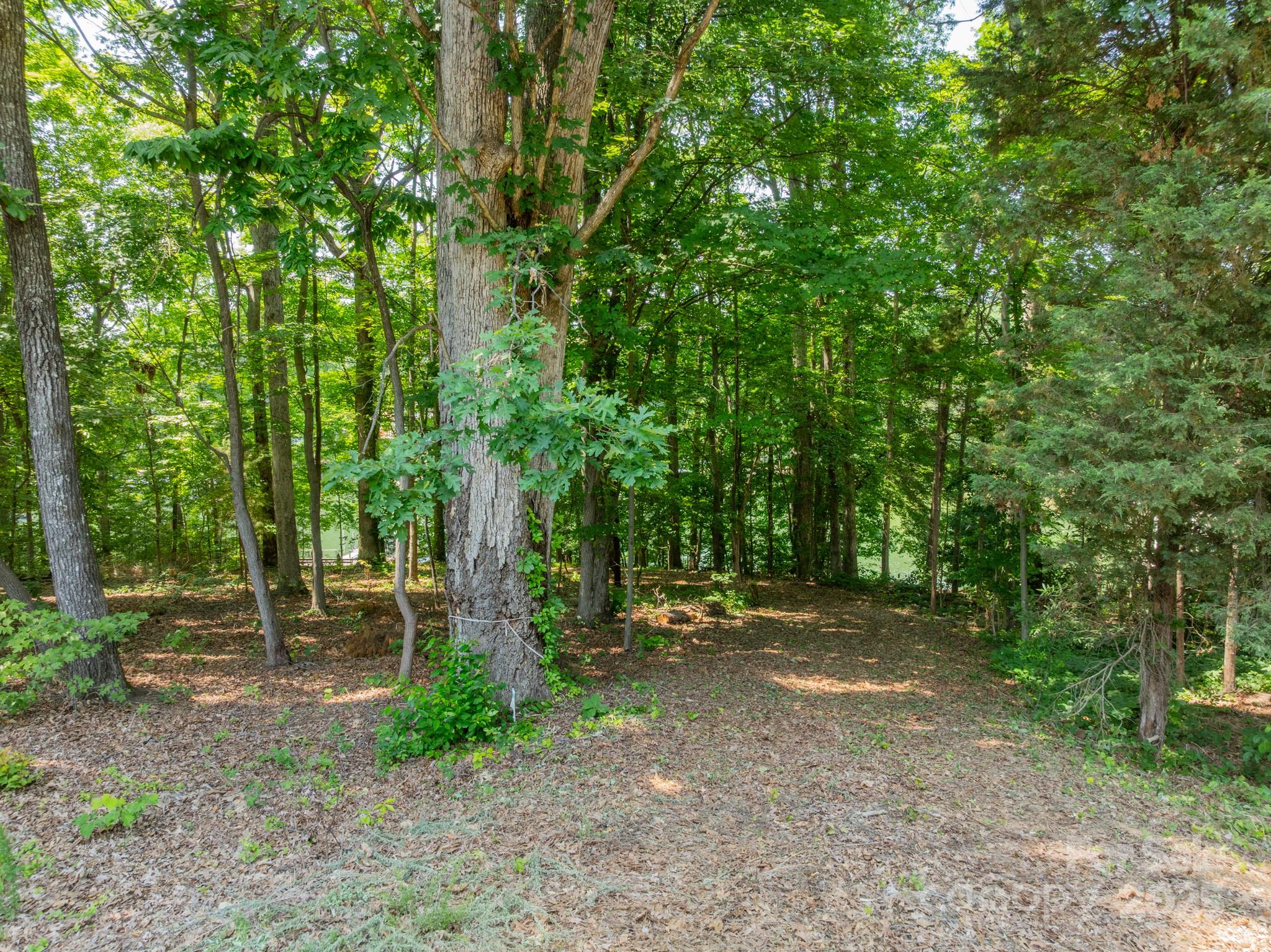 200 Greenbay Road Property Photo 11