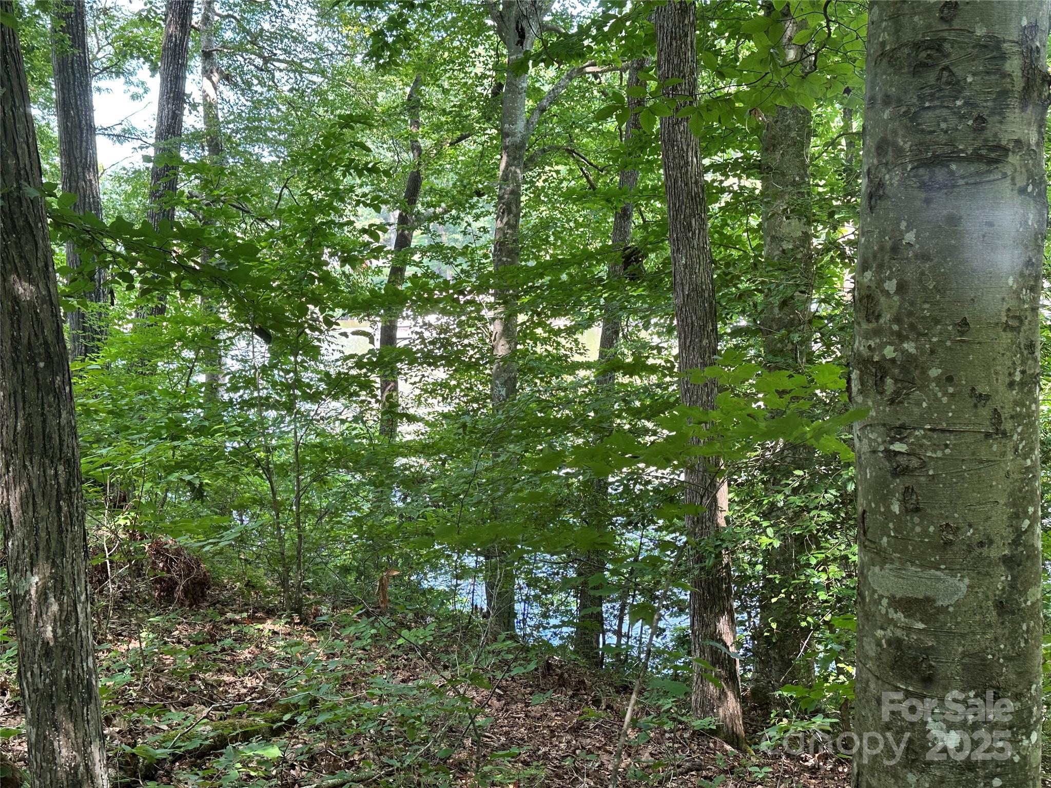 123 High Shoals Lane 19 Property Photo 25