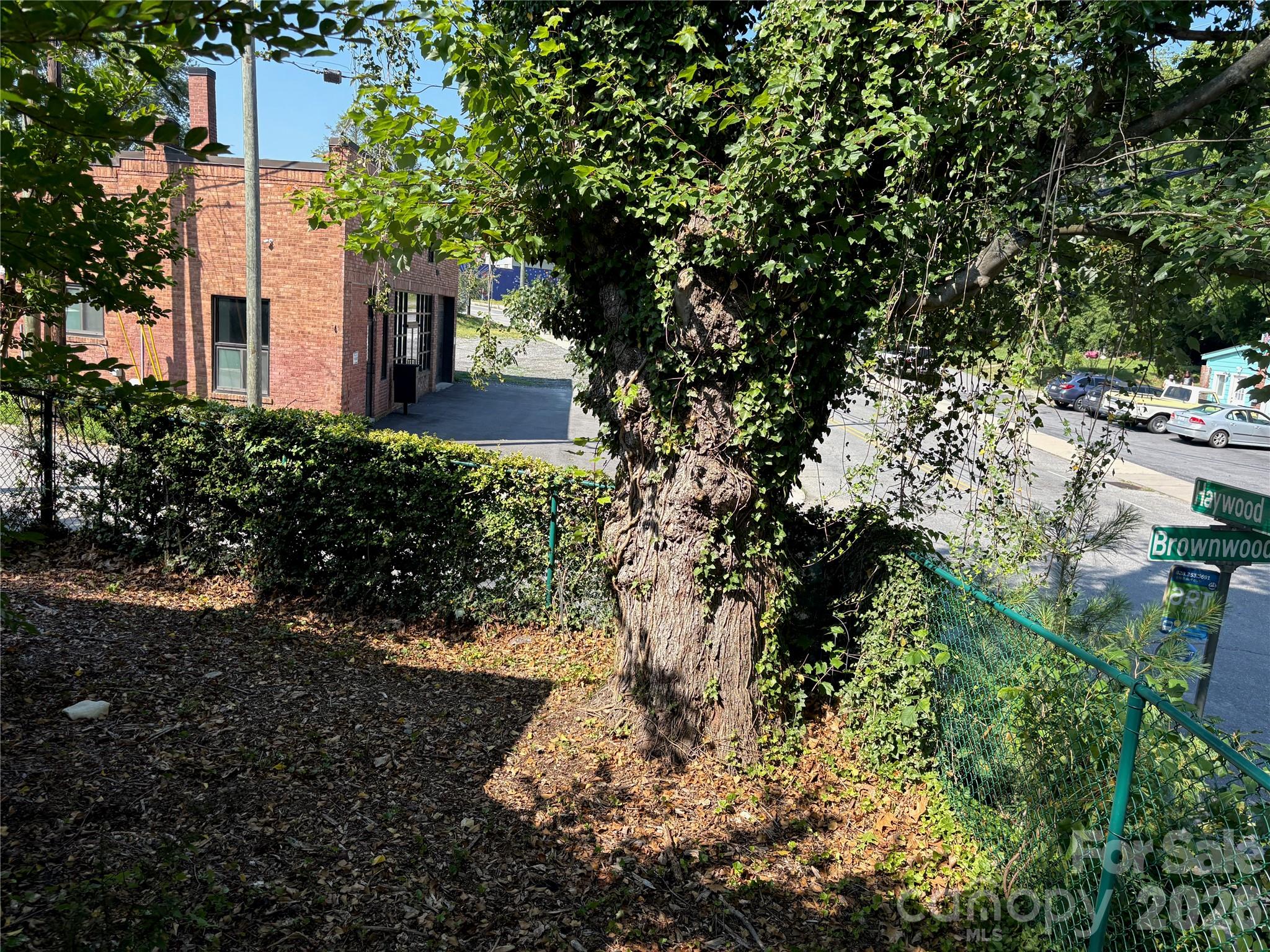 40 Brownwood Avenue Property Photo 24