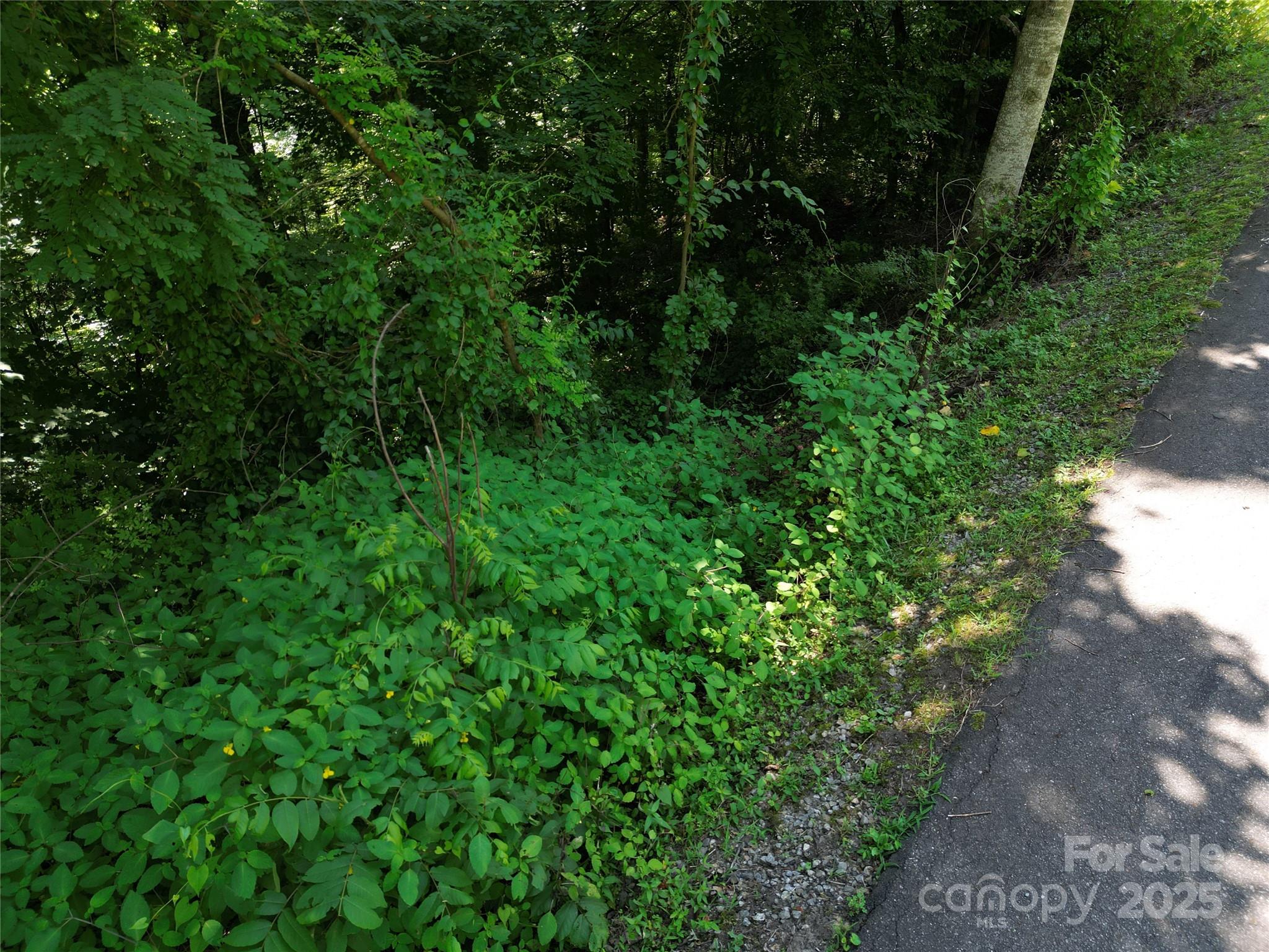 00 Point Of View Drive Property Photo 9