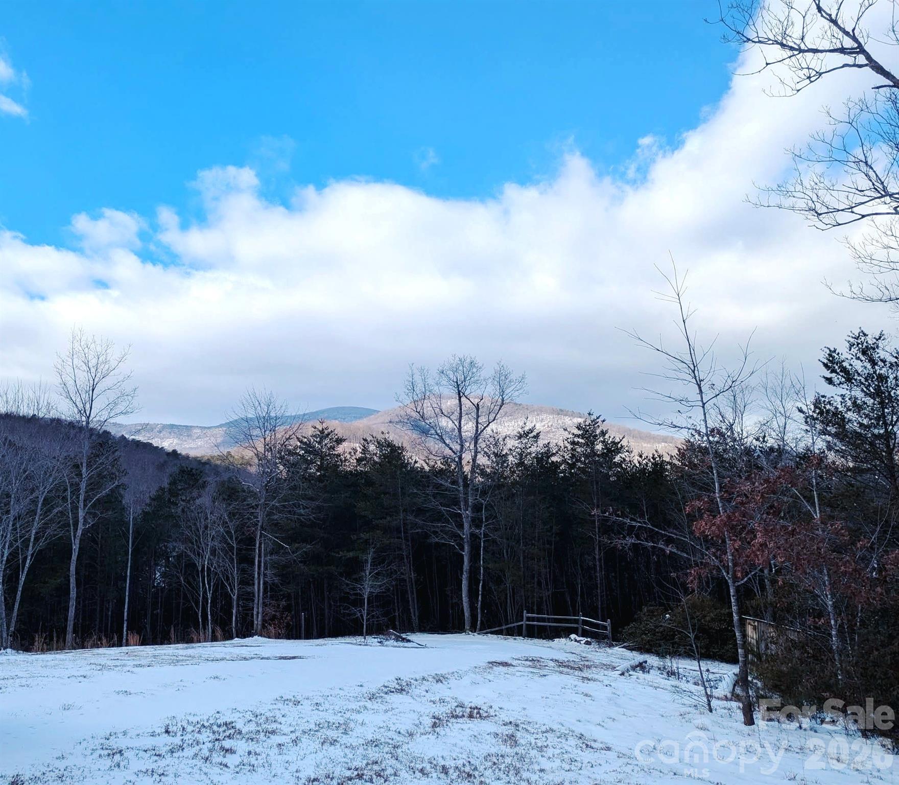 1318 Laughter Road Property Photo 2