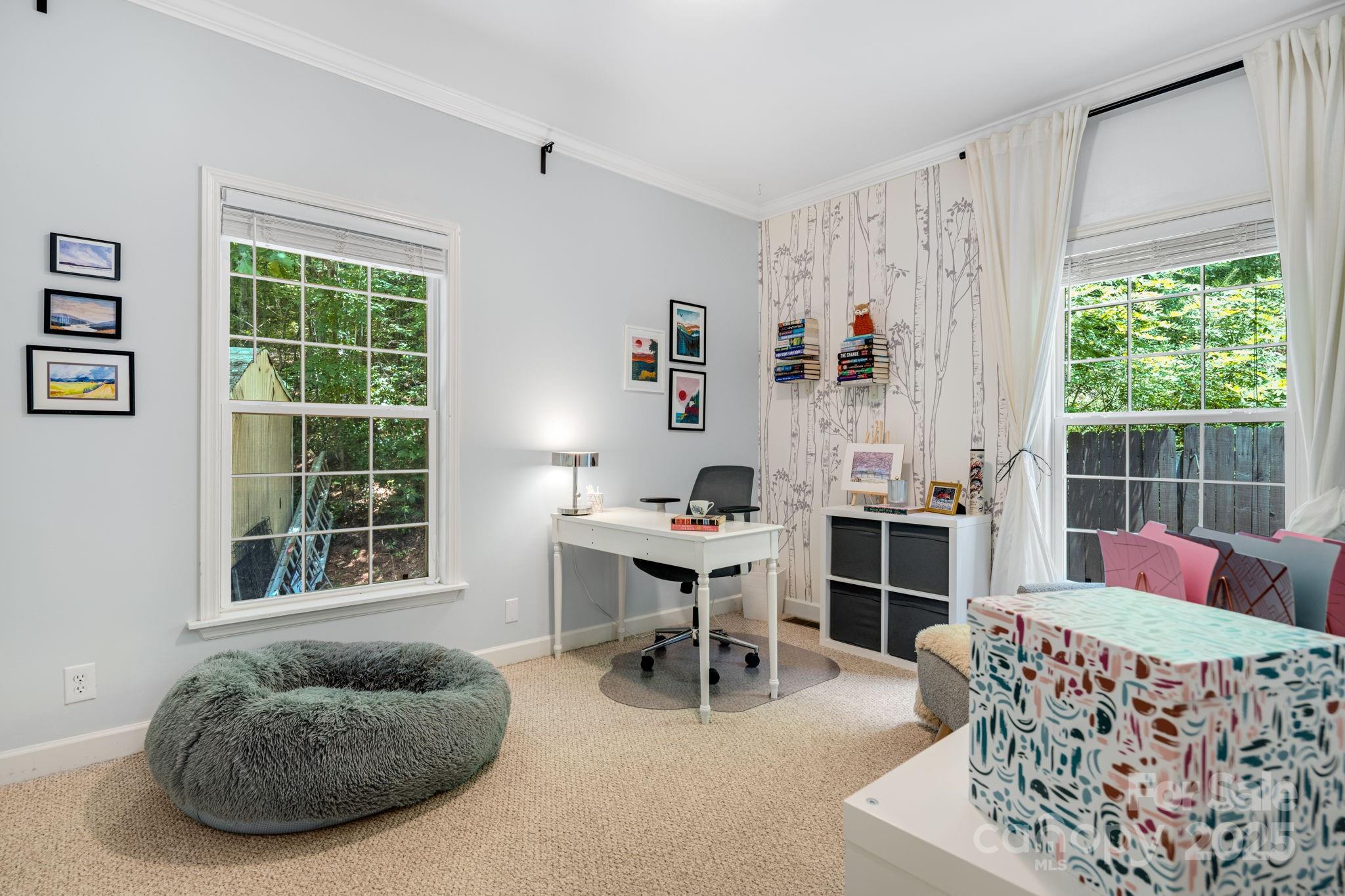 104 Jurassic Drive Property Photo 24