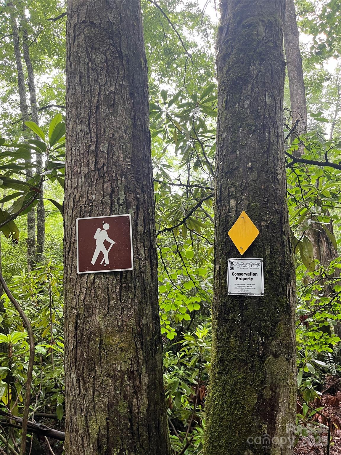 104 Jurassic Drive Property Photo 37