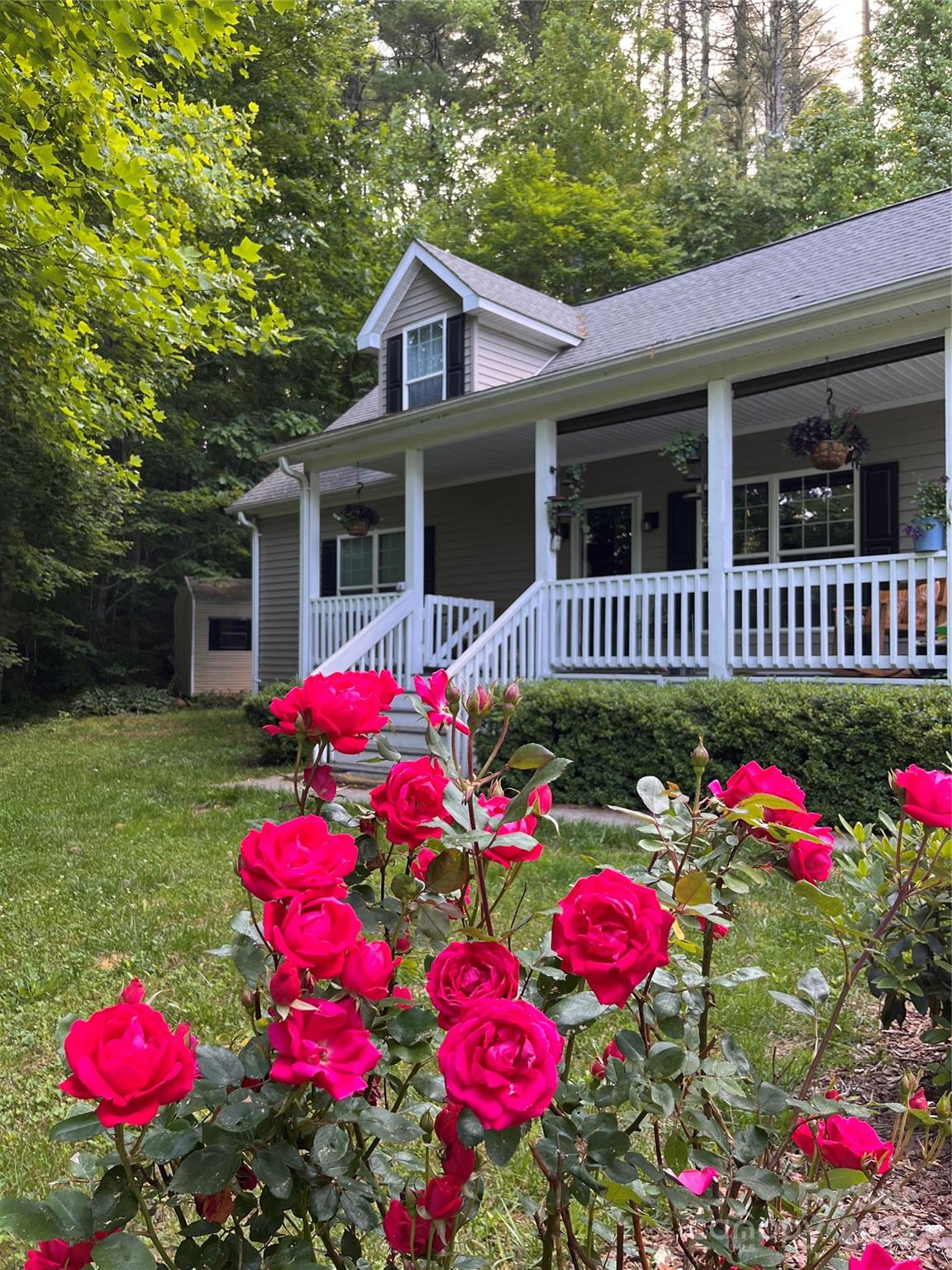 104 Jurassic Drive Property Photo 39