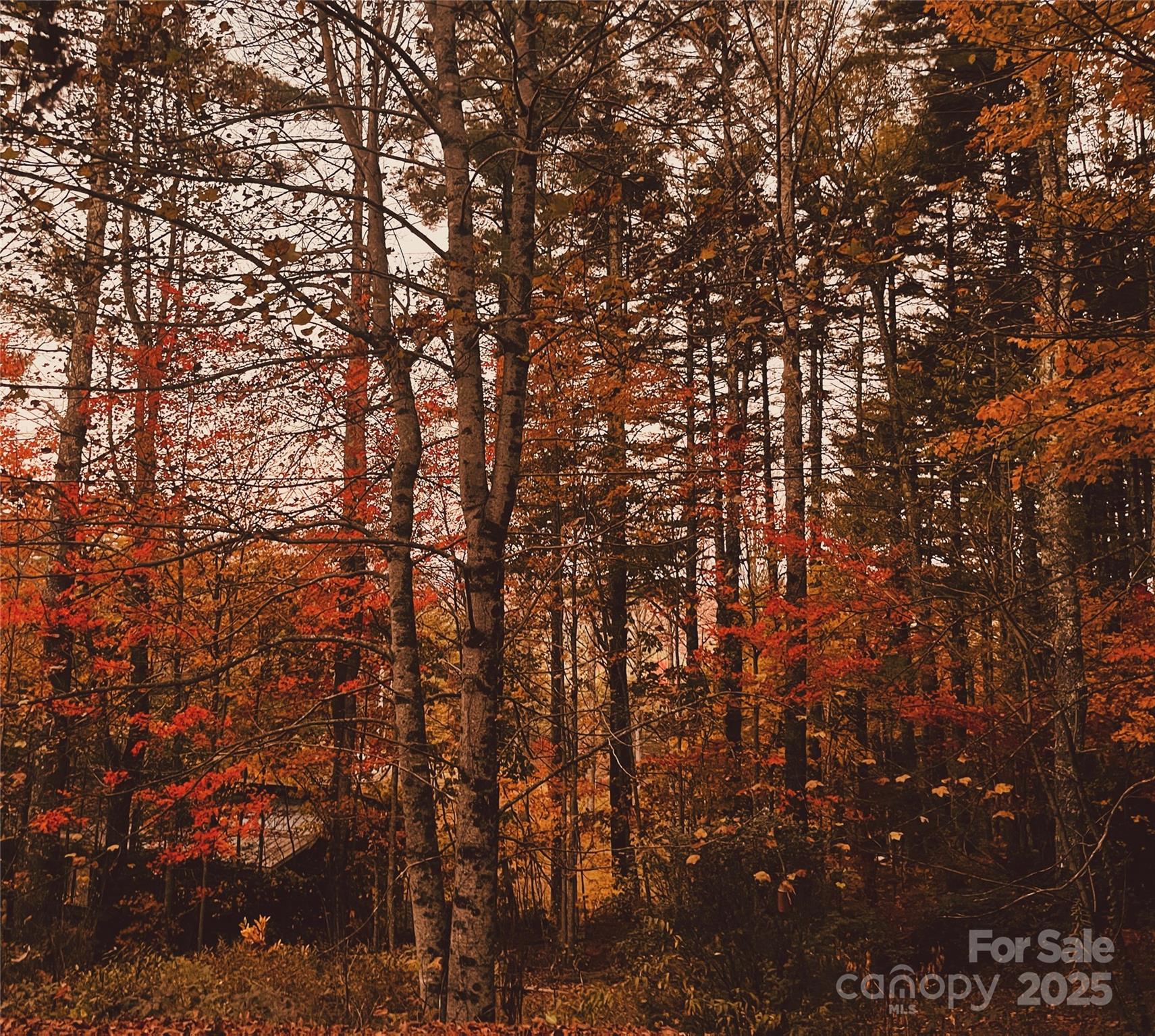 104 Jurassic Drive Property Photo 40