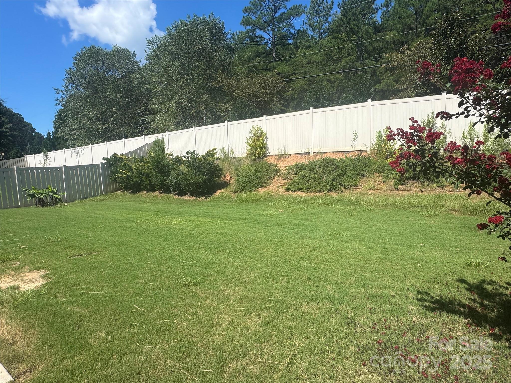 15213 Red Canoe Way Property Photo 3