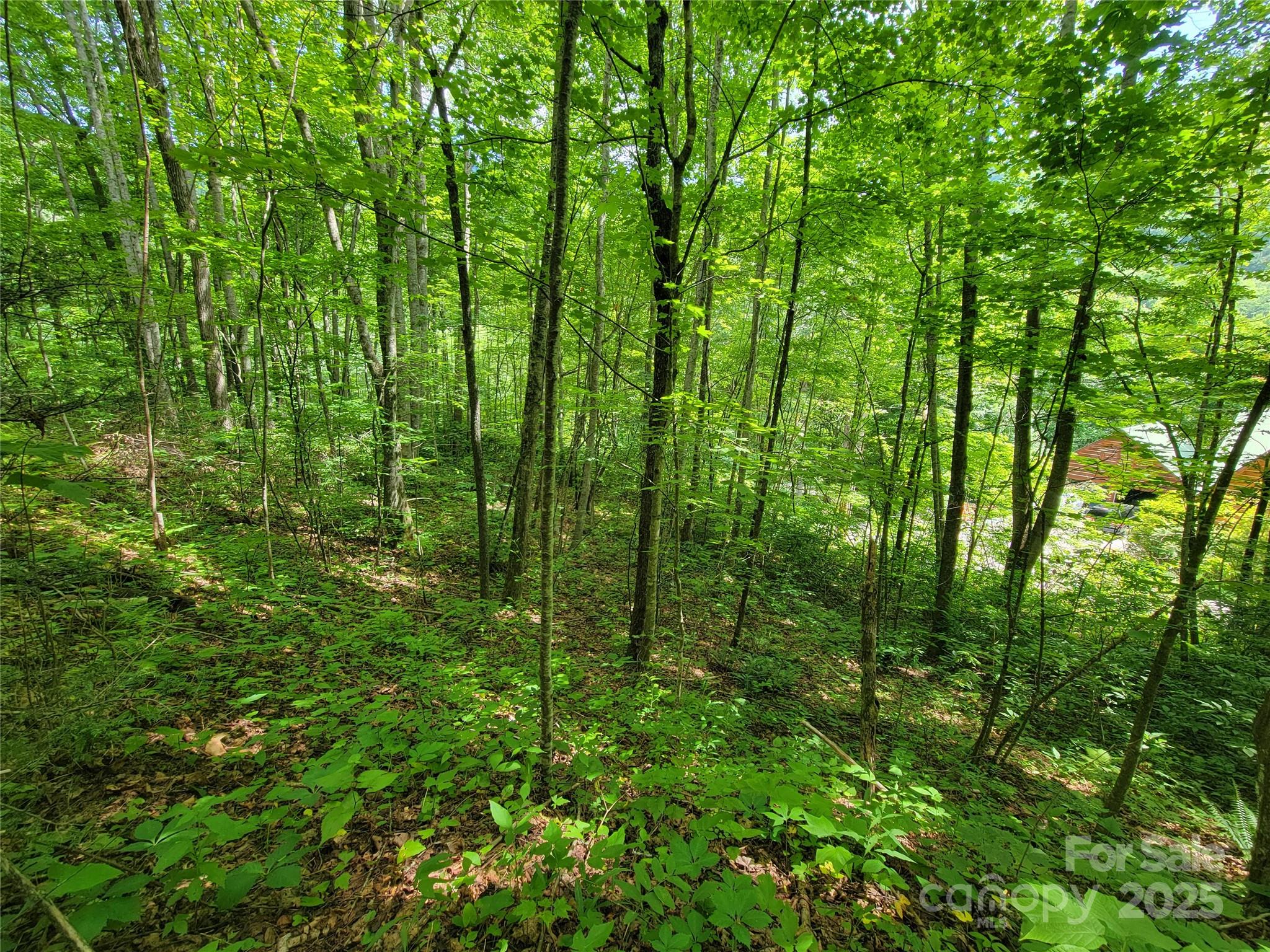 100 Village Lane 26 Property Photo 14