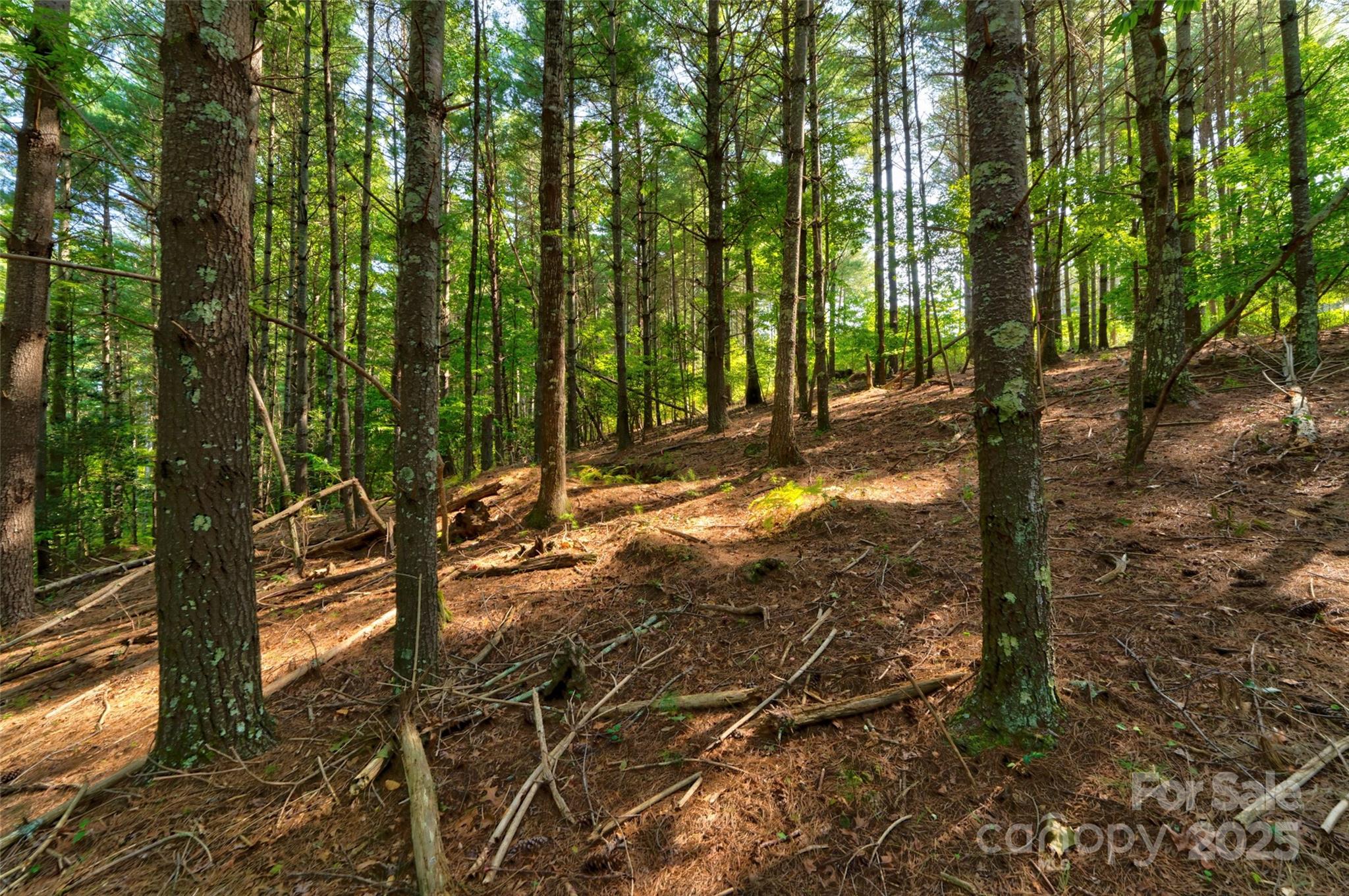 77 Whispering Pines Trail 82 Property Photo 4