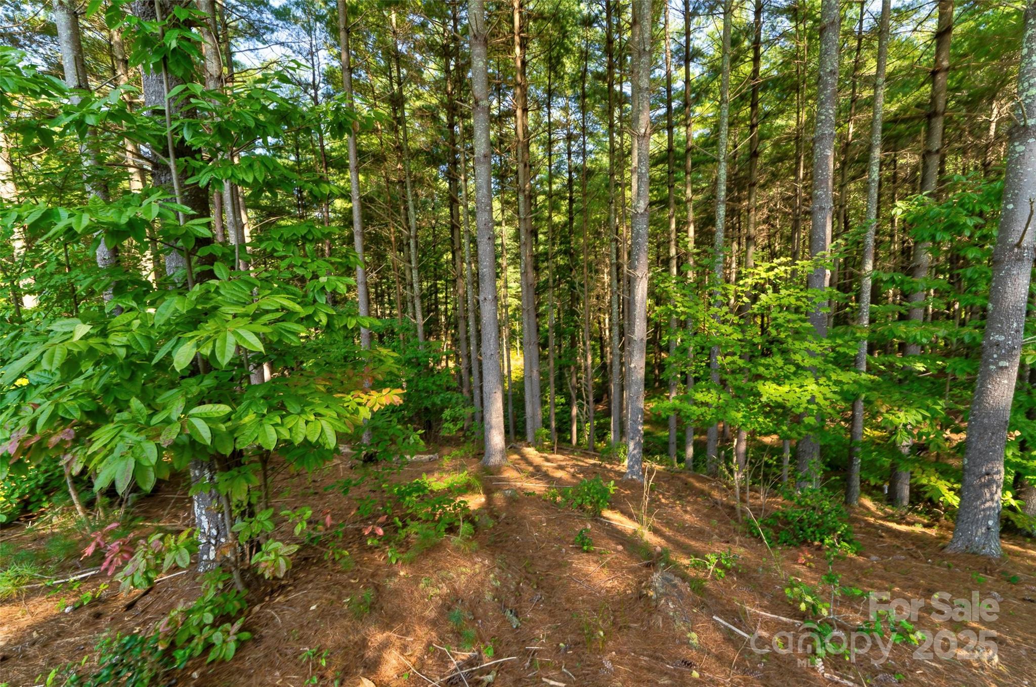 77 Whispering Pines Trail 82 Property Photo 7