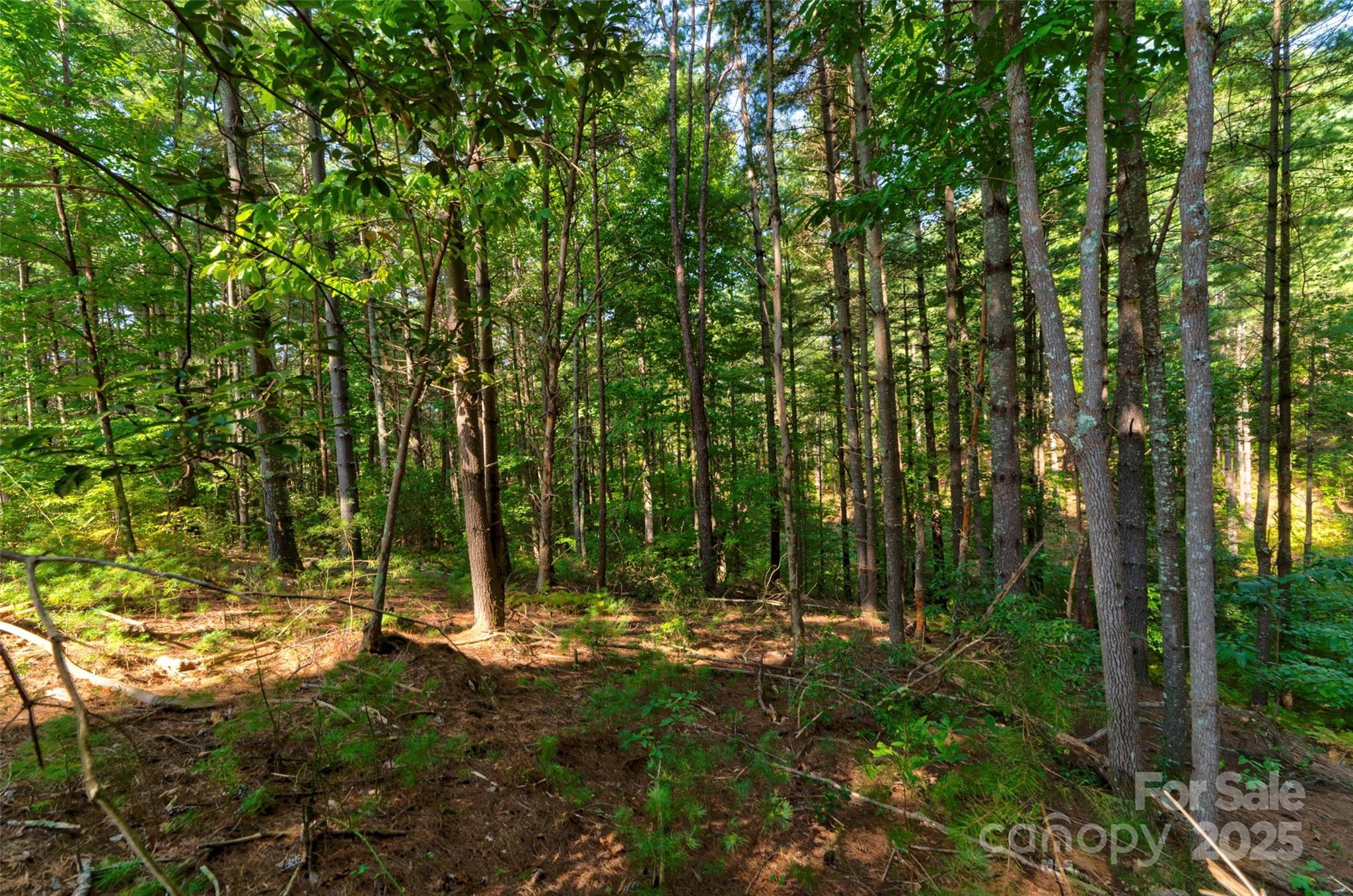 77 Whispering Pines Trail 82 Property Photo 8