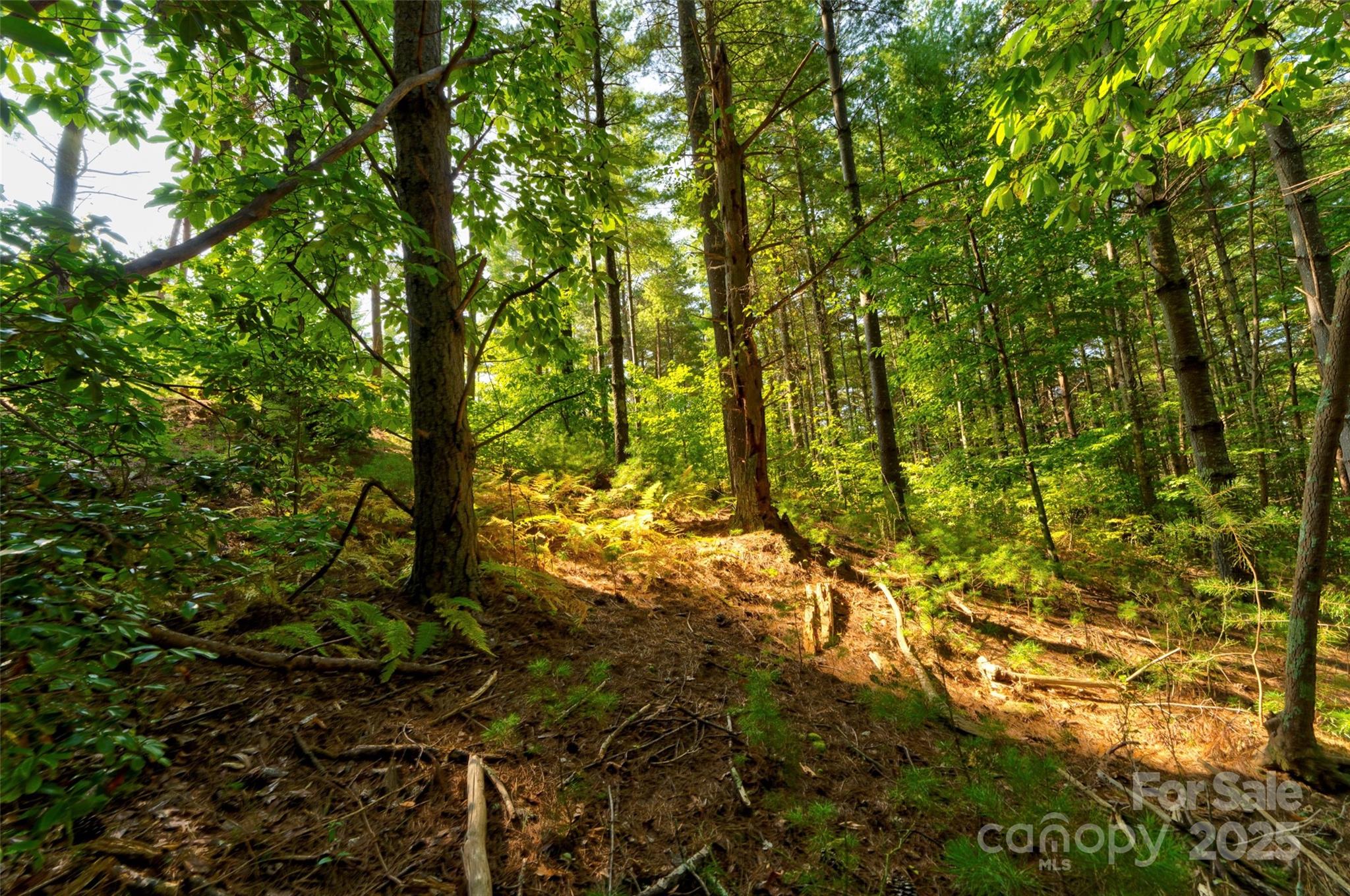 77 Whispering Pines Trail 82 Property Photo 9