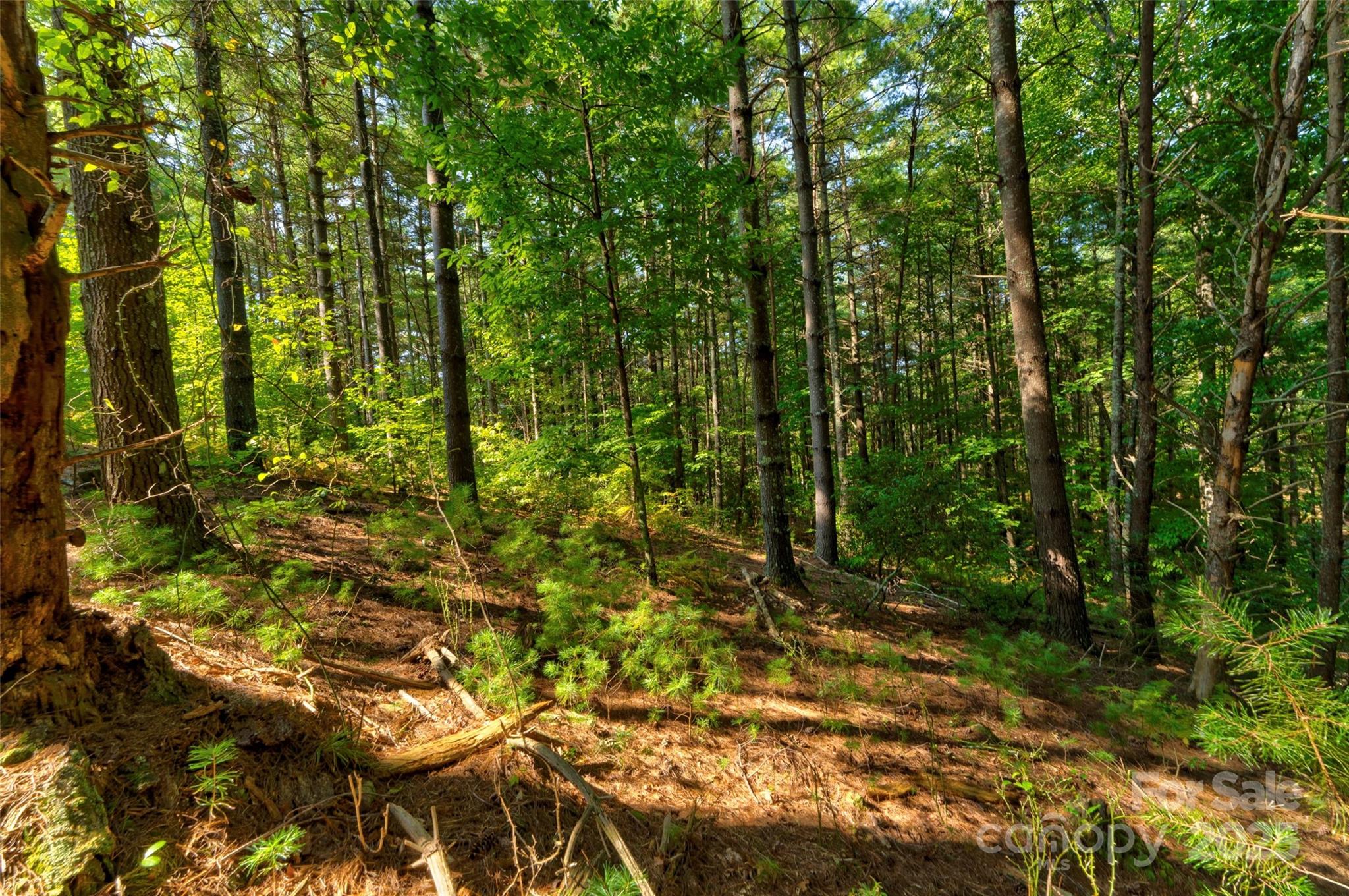 77 Whispering Pines Trail 82 Property Photo 10