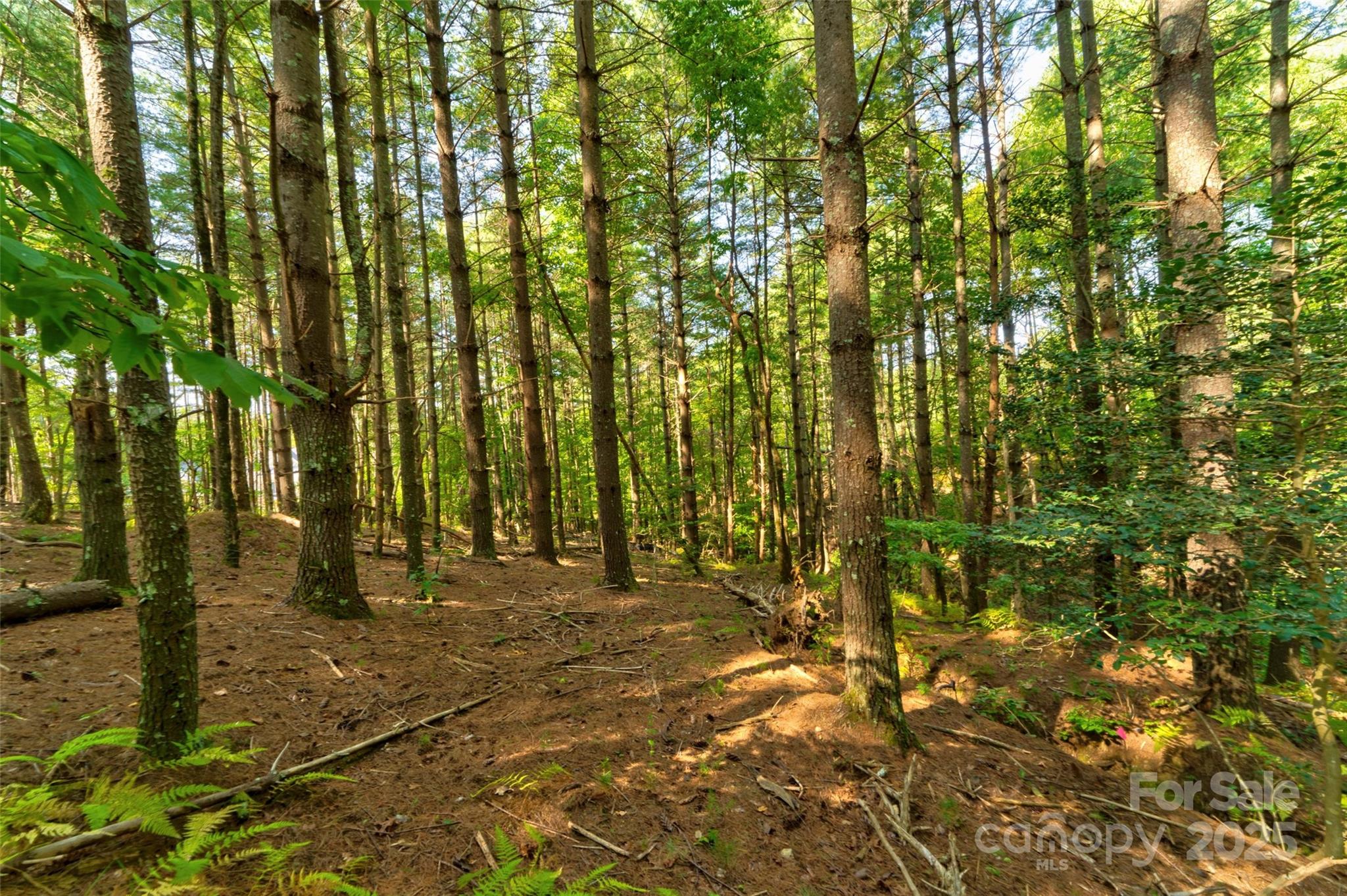 77 Whispering Pines Trail 82 Property Photo 11
