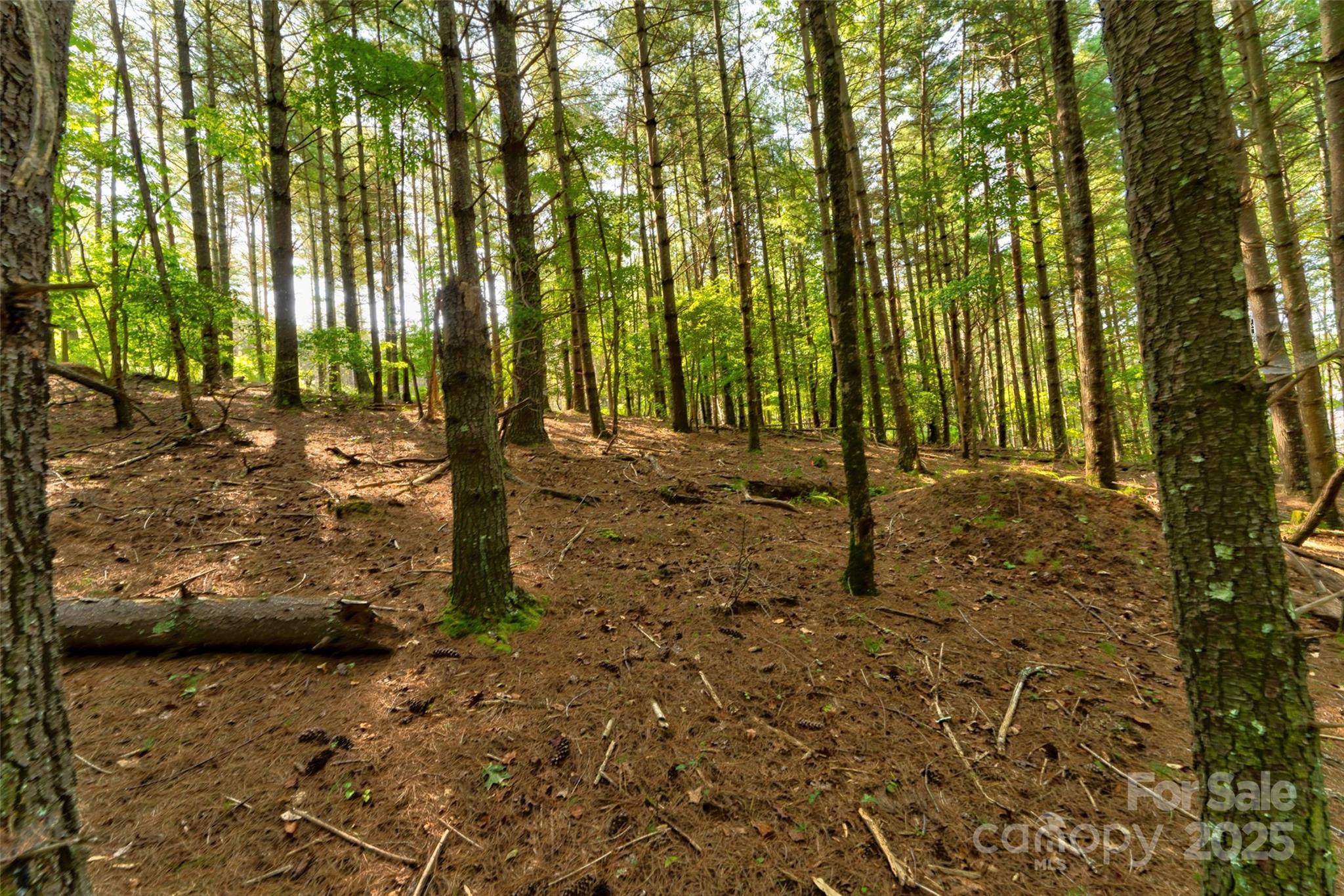 77 Whispering Pines Trail 82 Property Photo 13