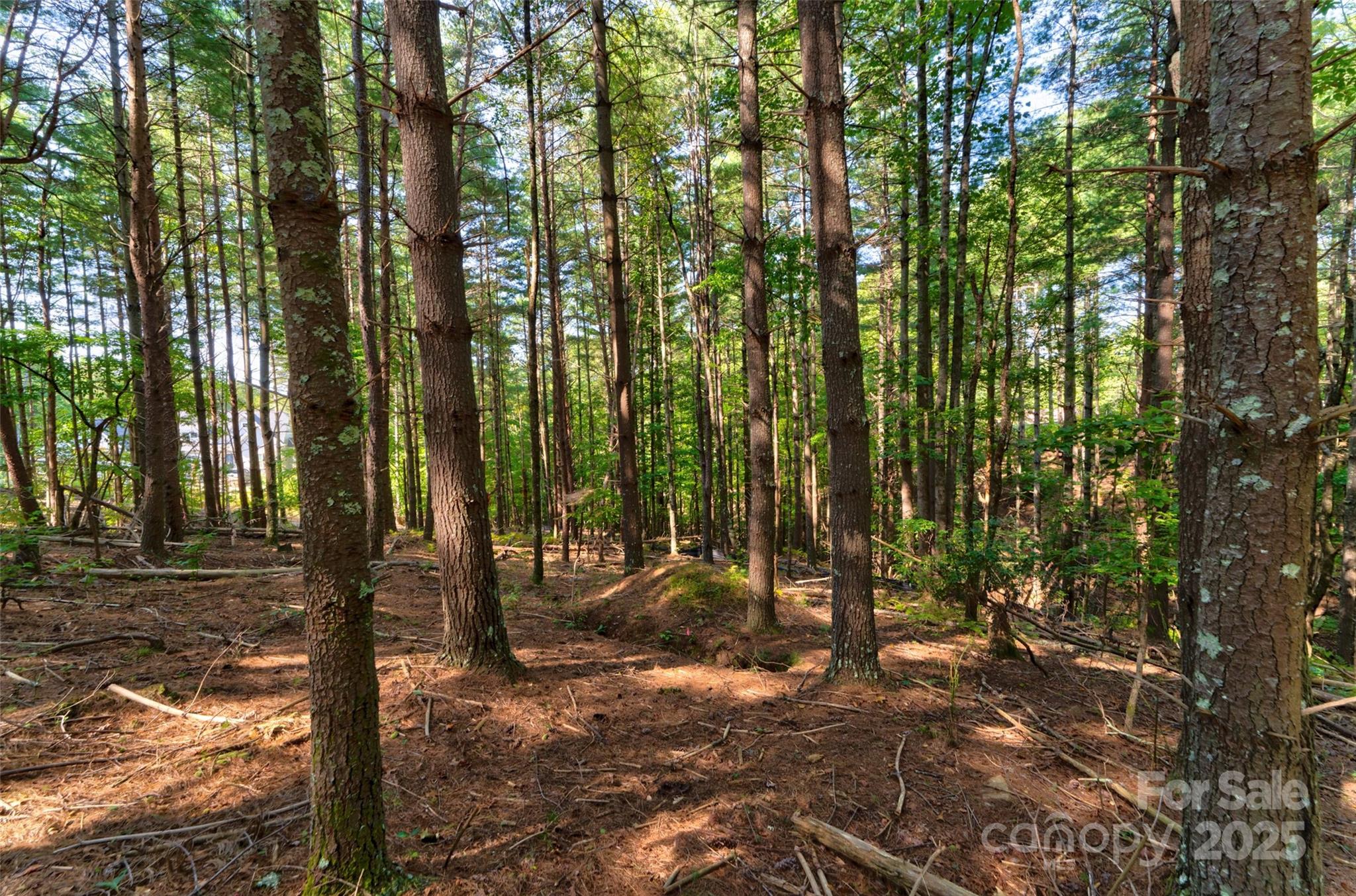 77 Whispering Pines Trail 82 Property Photo 14