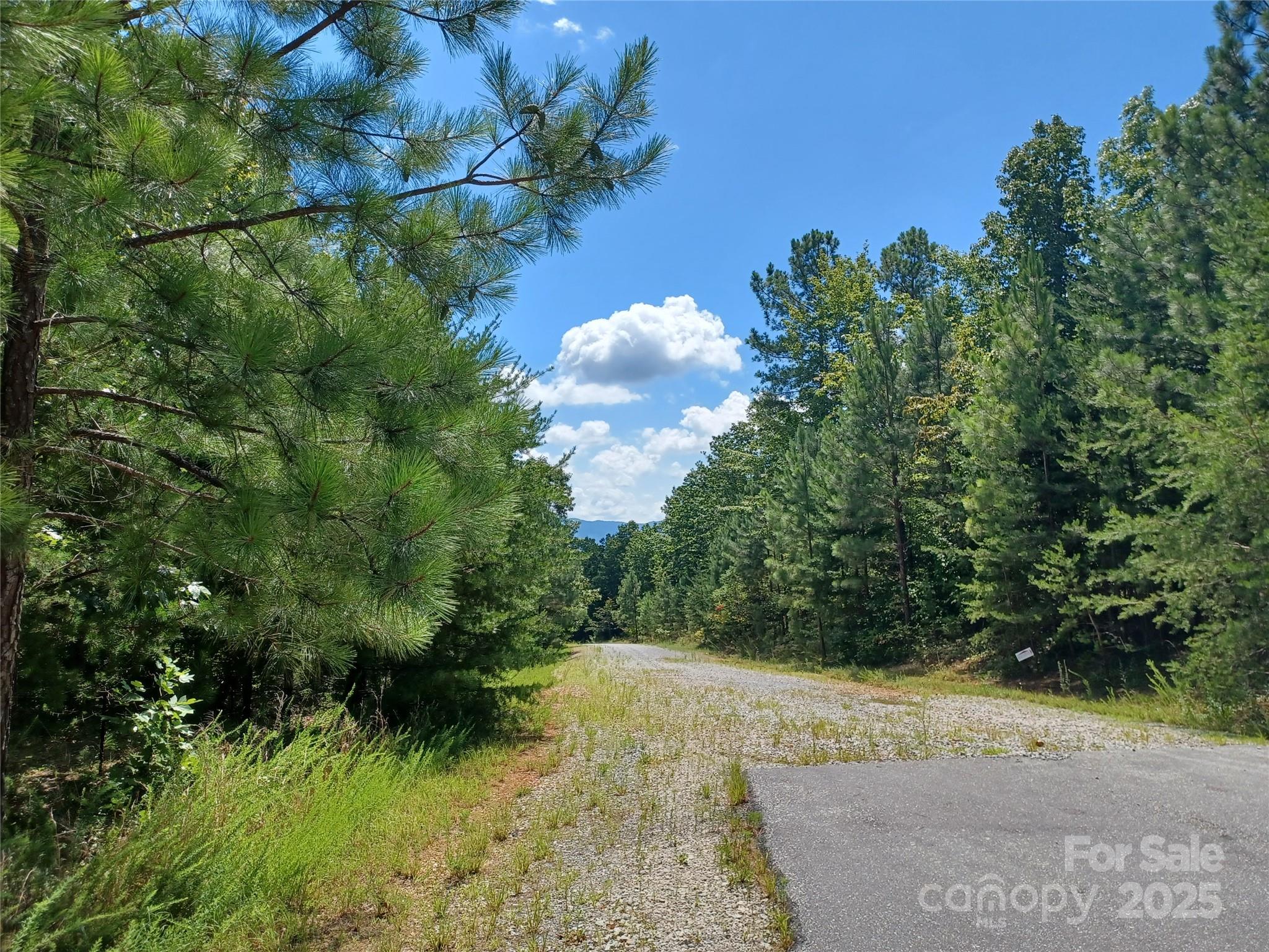 31 Hull Avenue Property Photo 9