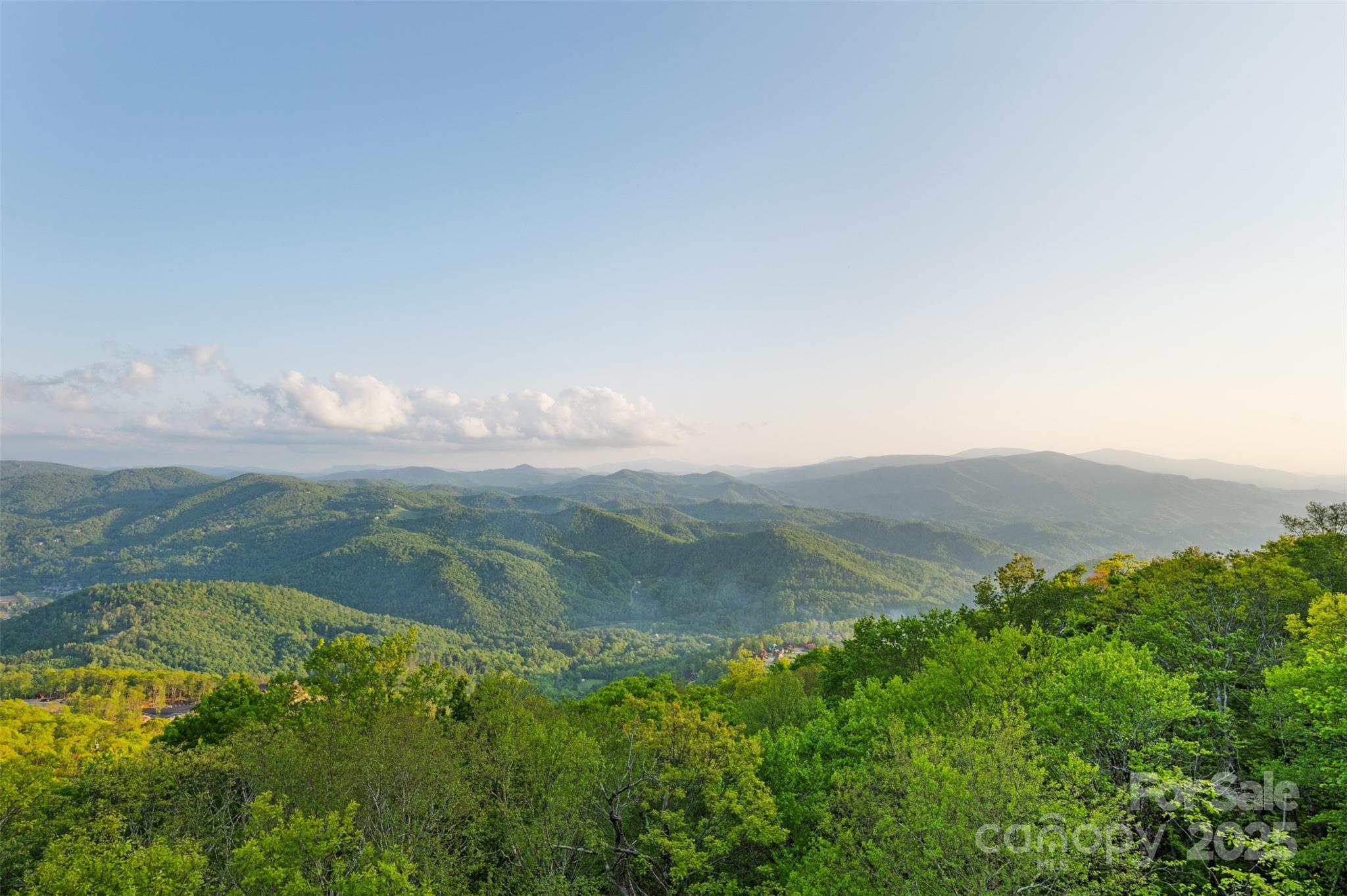 2910 Eagles Nest Trail Property Photo 4