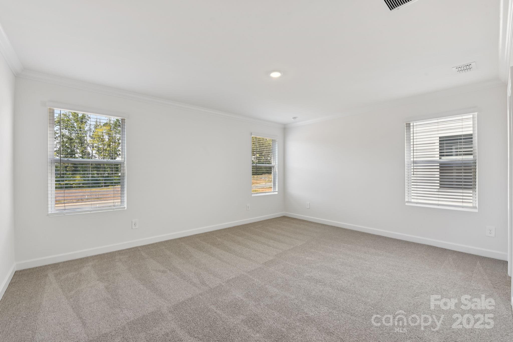 246 Tiger Lily Drive Property Photo 11