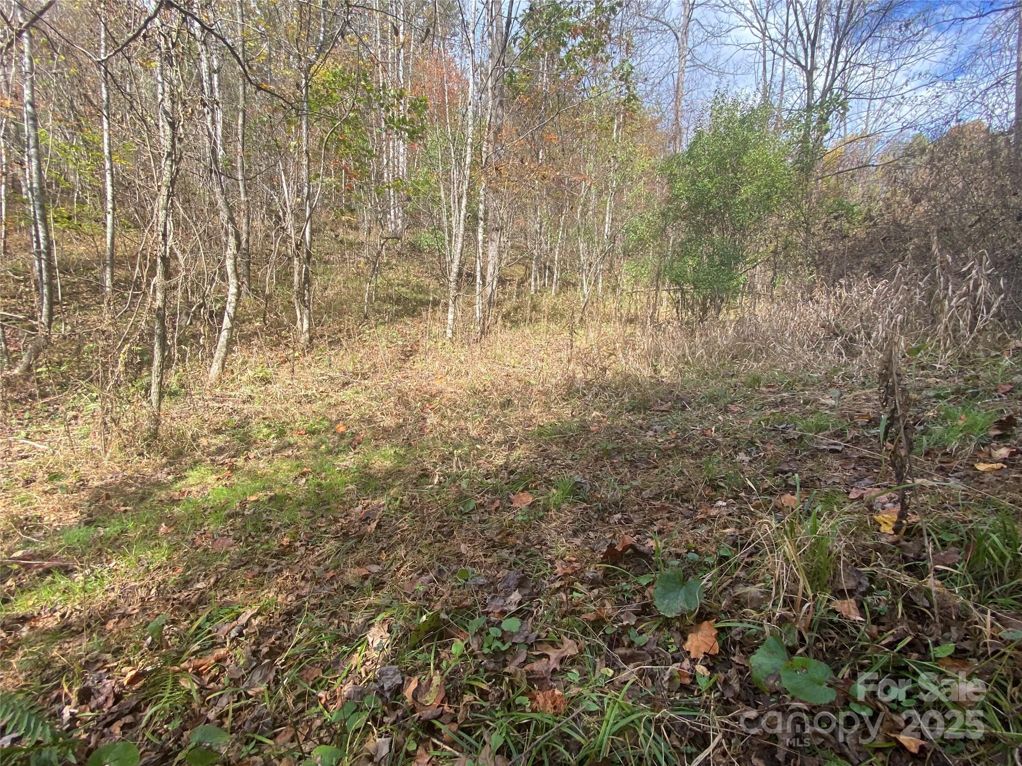 23 Lana Lane Property Photo 31