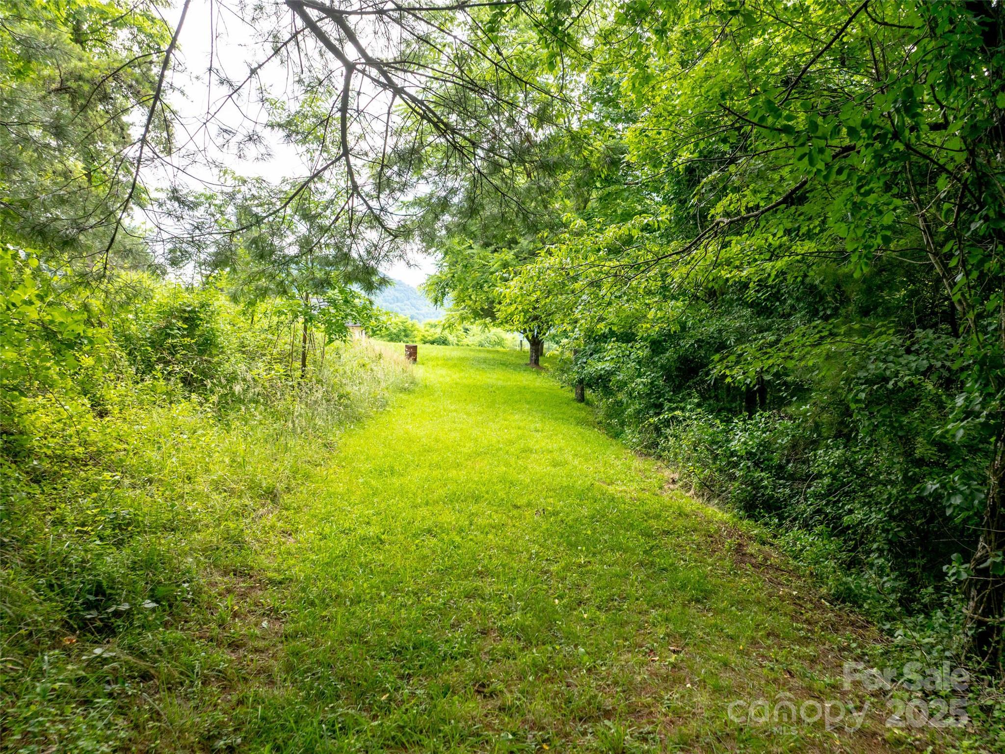 40 Sedgefield Place Property Photo 7