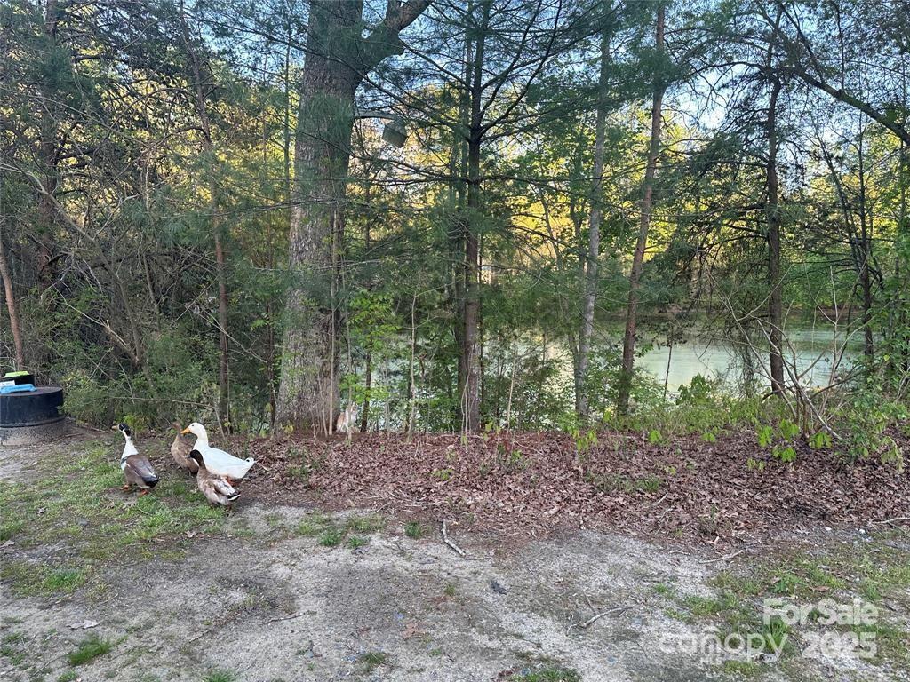 11155 & 11165 Highway 52 Highway Property Photo 10