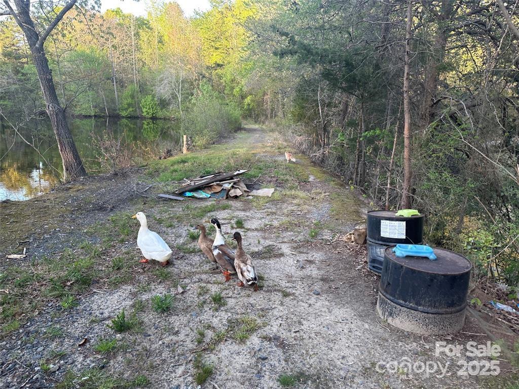 11155 & 11165 Highway 52 Highway Property Photo 14