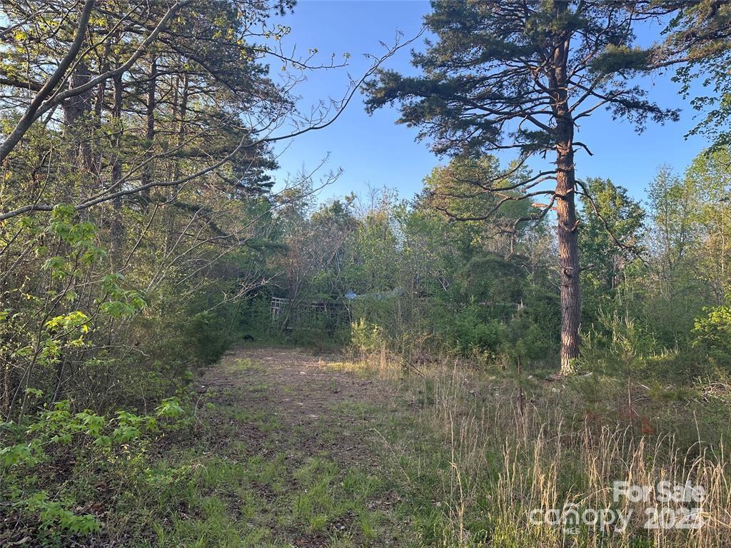 11155 & 11165 Highway 52 Highway Property Photo 19