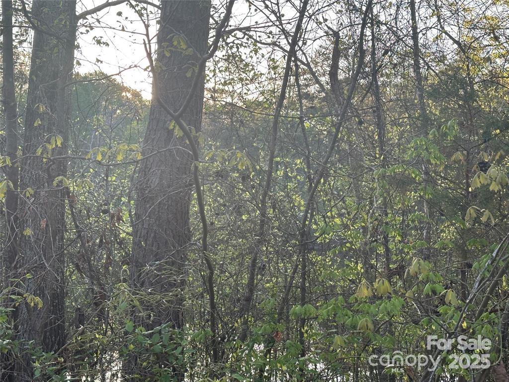 11155 & 11165 Highway 52 Highway Property Photo 20