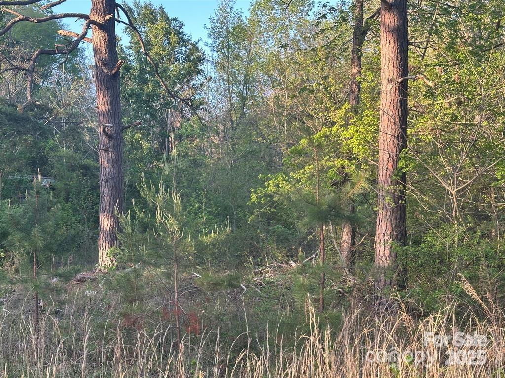 11155 & 11165 Highway 52 Highway Property Photo 21