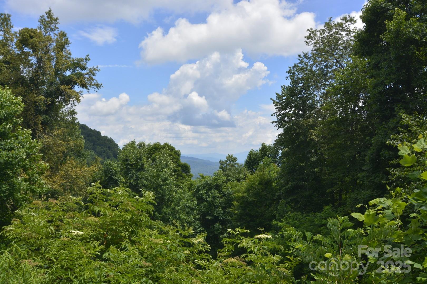 999 Red Wolf Run 48 Property Photo 1