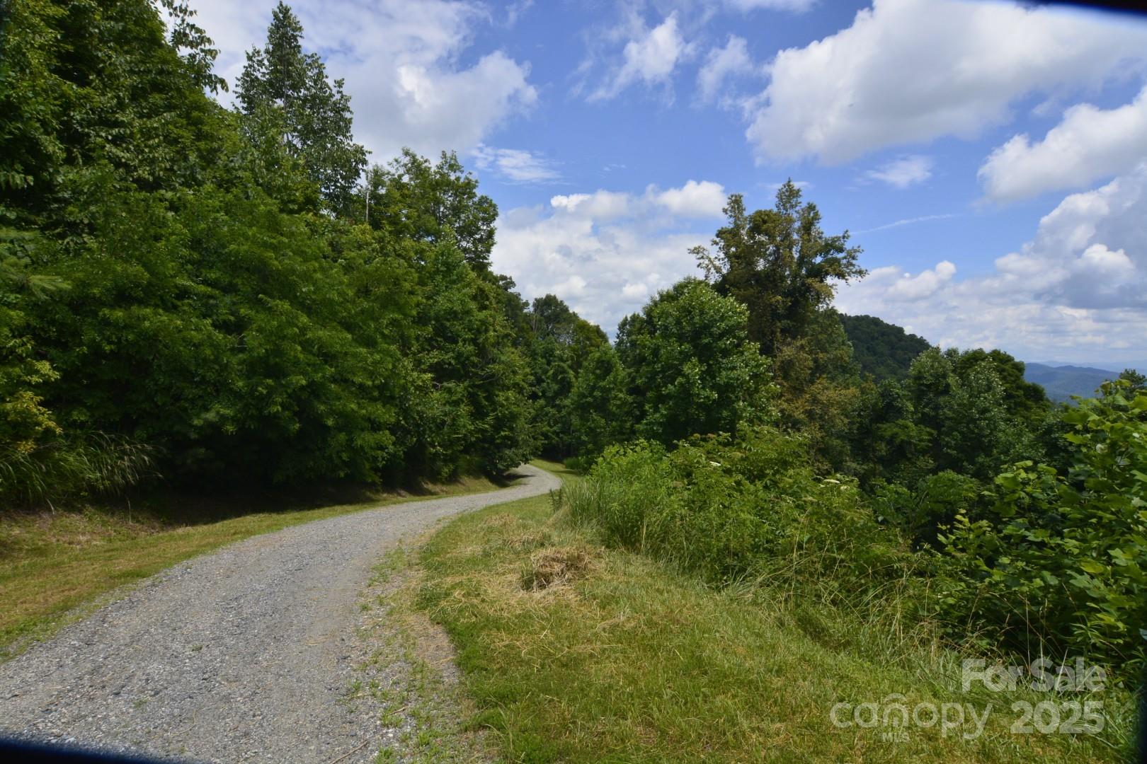 999 Red Wolf Run 48 Property Photo 3