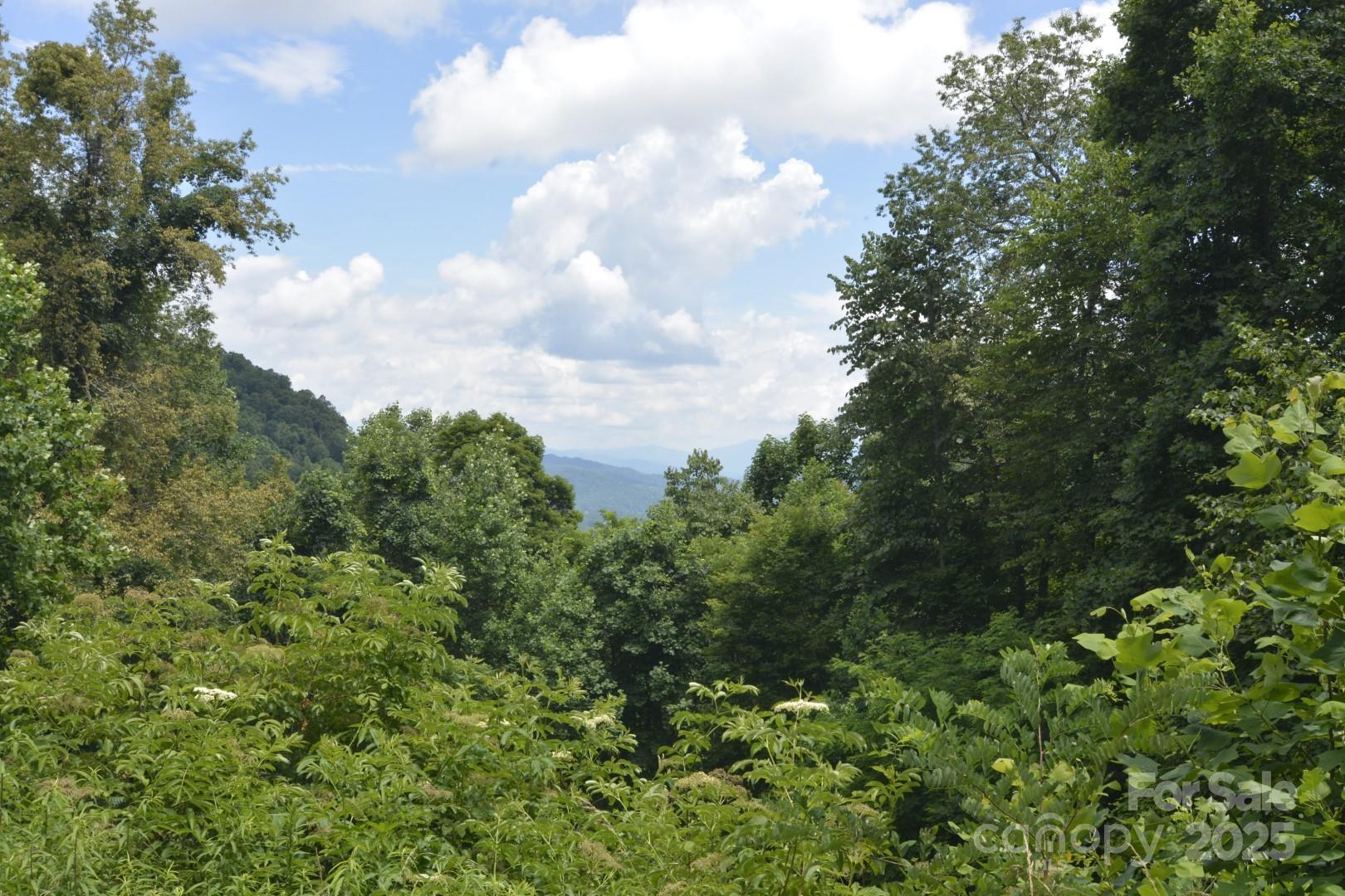 999 Red Wolf Run 48 Property Photo 4