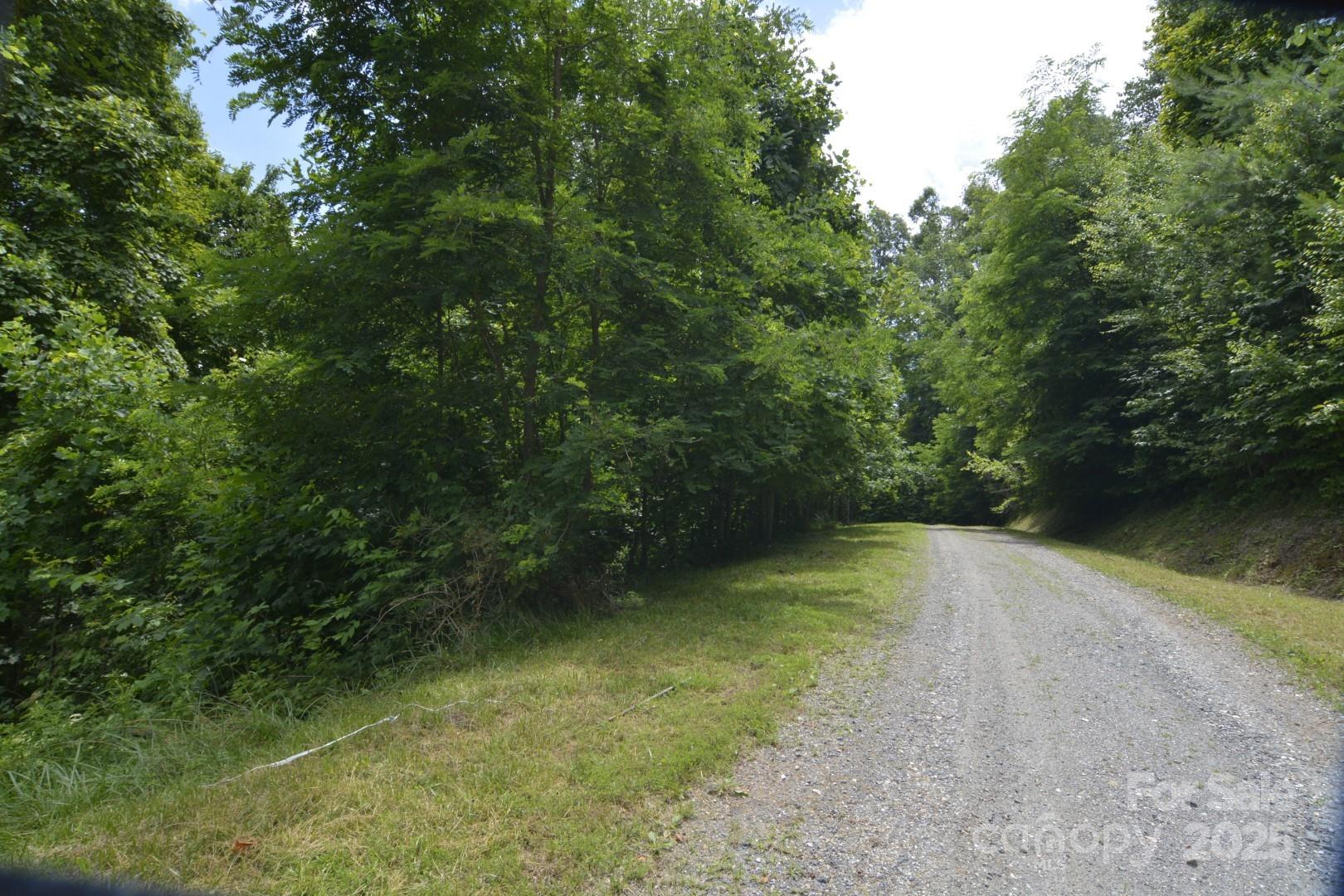 999 Red Wolf Run 48 Property Photo 5