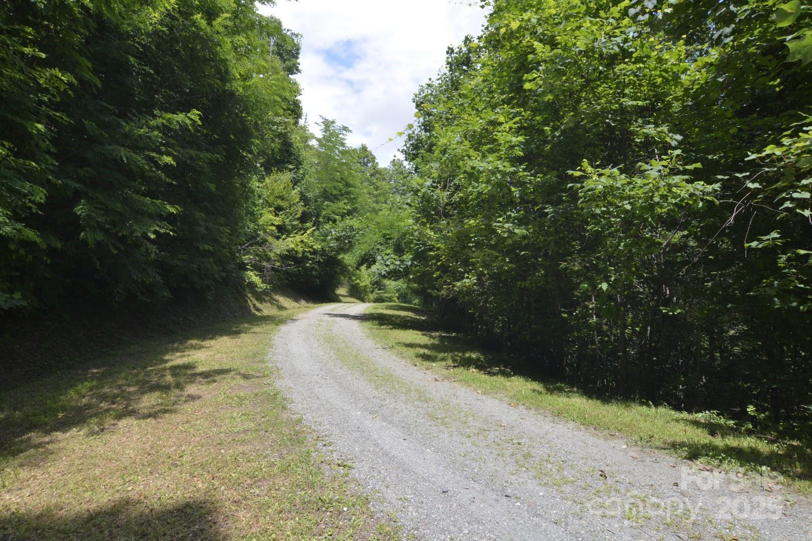 999 Red Wolf Run 48 Property Photo 6