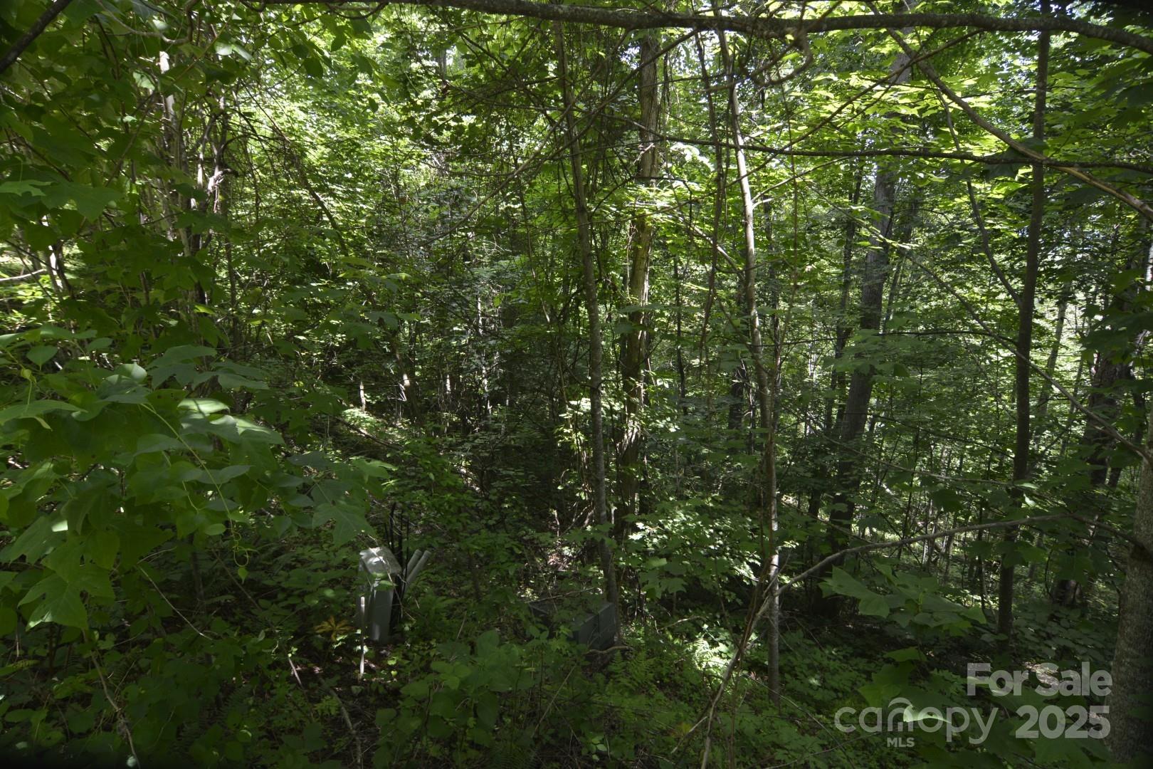 999 Red Wolf Run 48 Property Photo 7