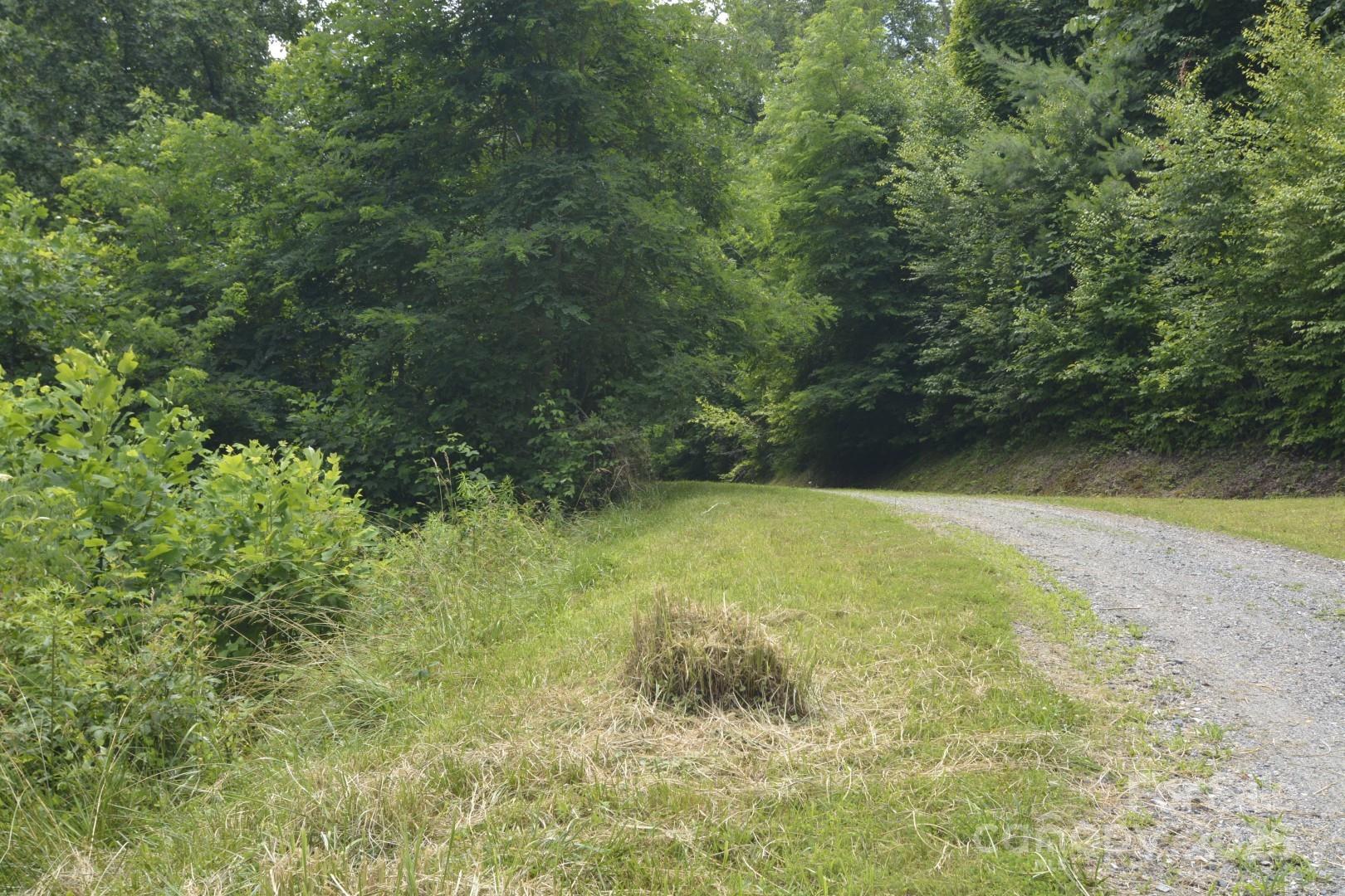 999 Red Wolf Run 48 Property Photo 8