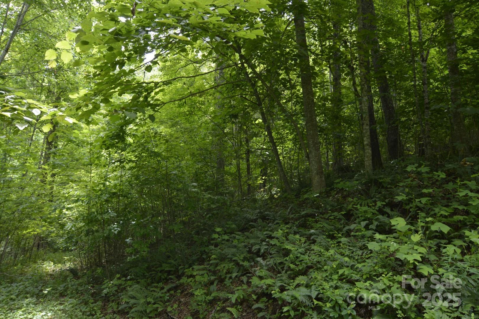 999 Red Wolf Run 48 Property Photo 9