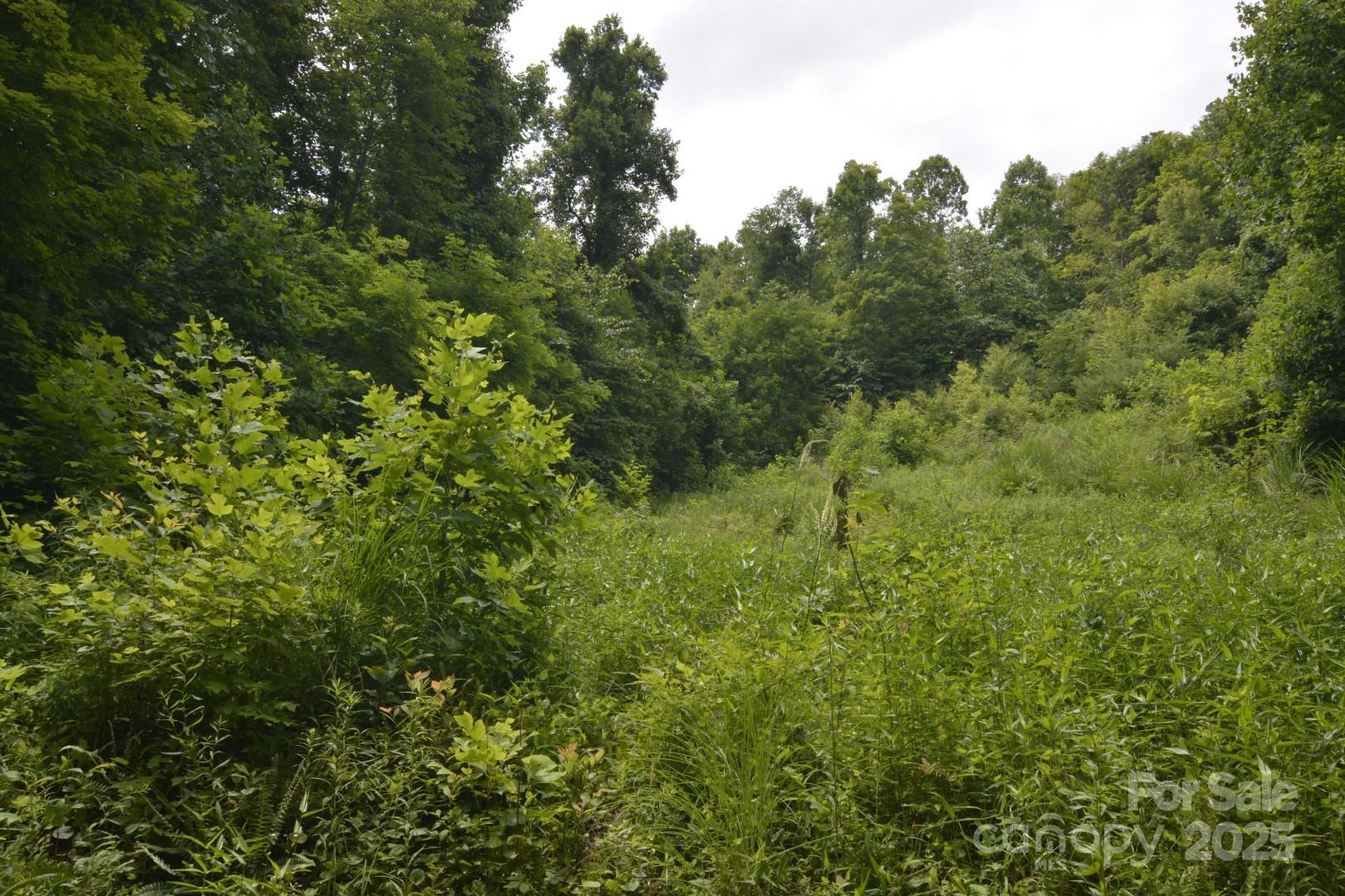 999 Red Wolf Run 48 Property Photo 10