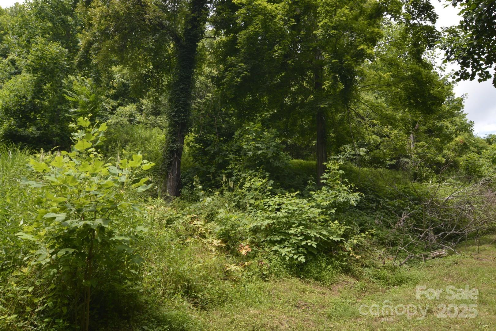 999 Red Wolf Run 48 Property Photo 11