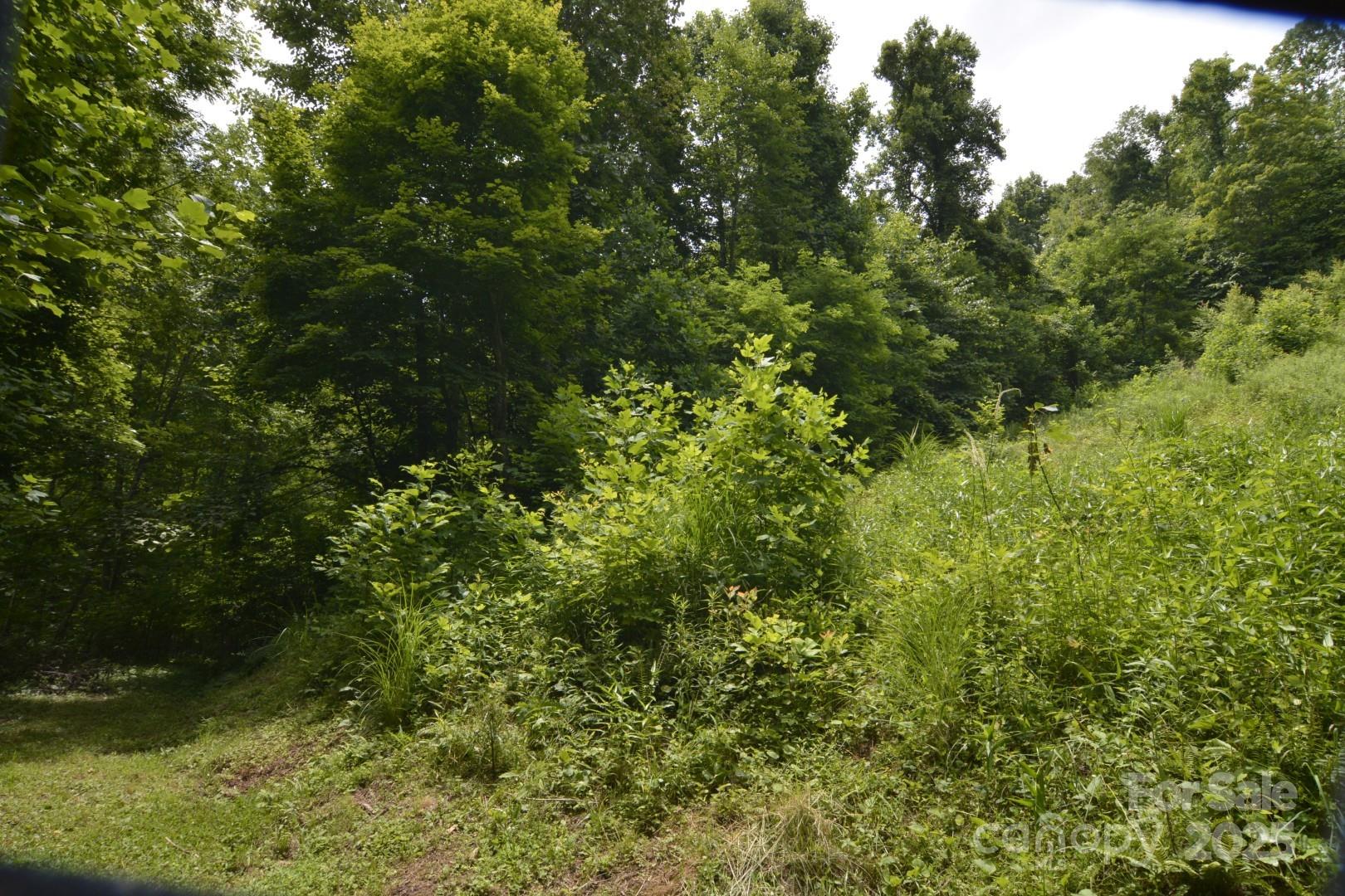 999 Red Wolf Run 48 Property Photo 12