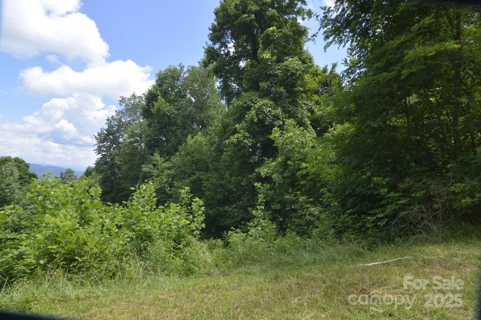 999 Red Wolf Run 48 Property Photo 13