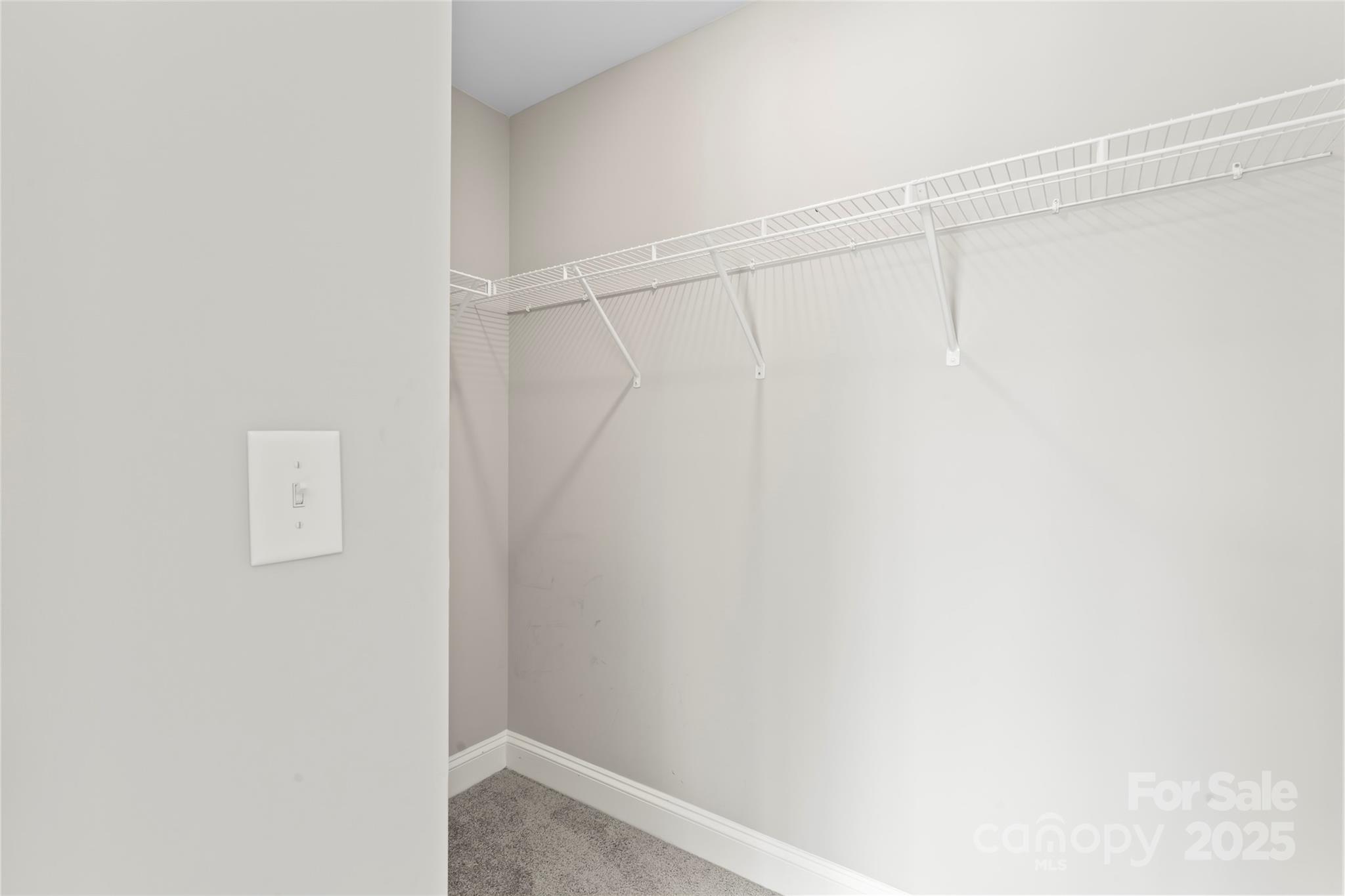 2015 Brantley Creek Drive Property Photo 19
