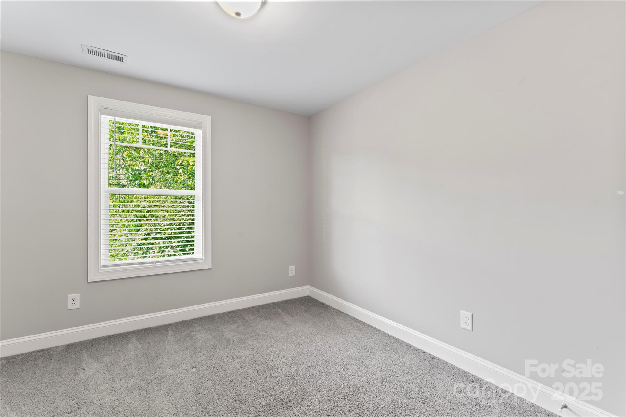2015 Brantley Creek Drive Property Photo 23