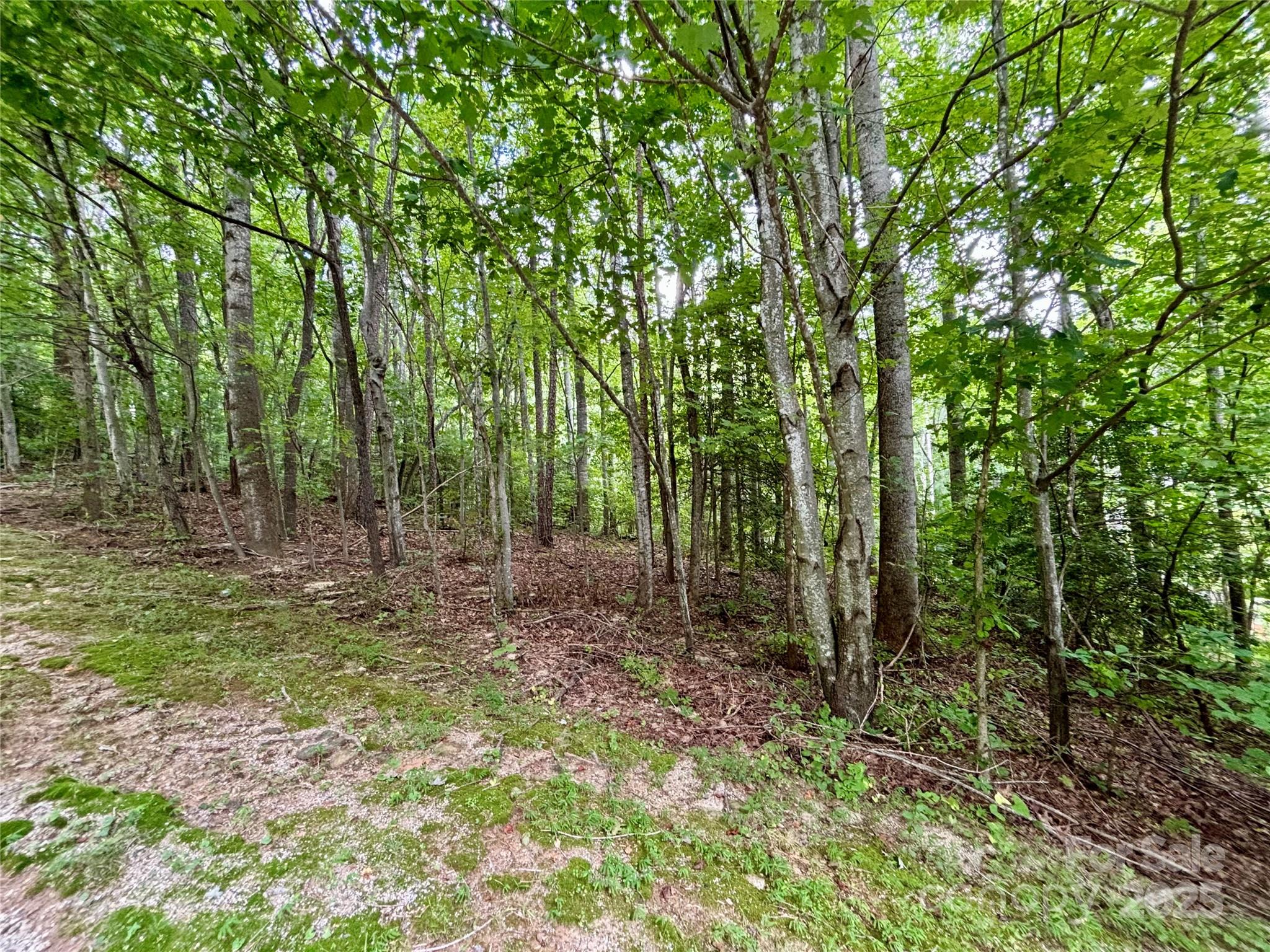 0 Sunlight Ridge Court Property Photo 3