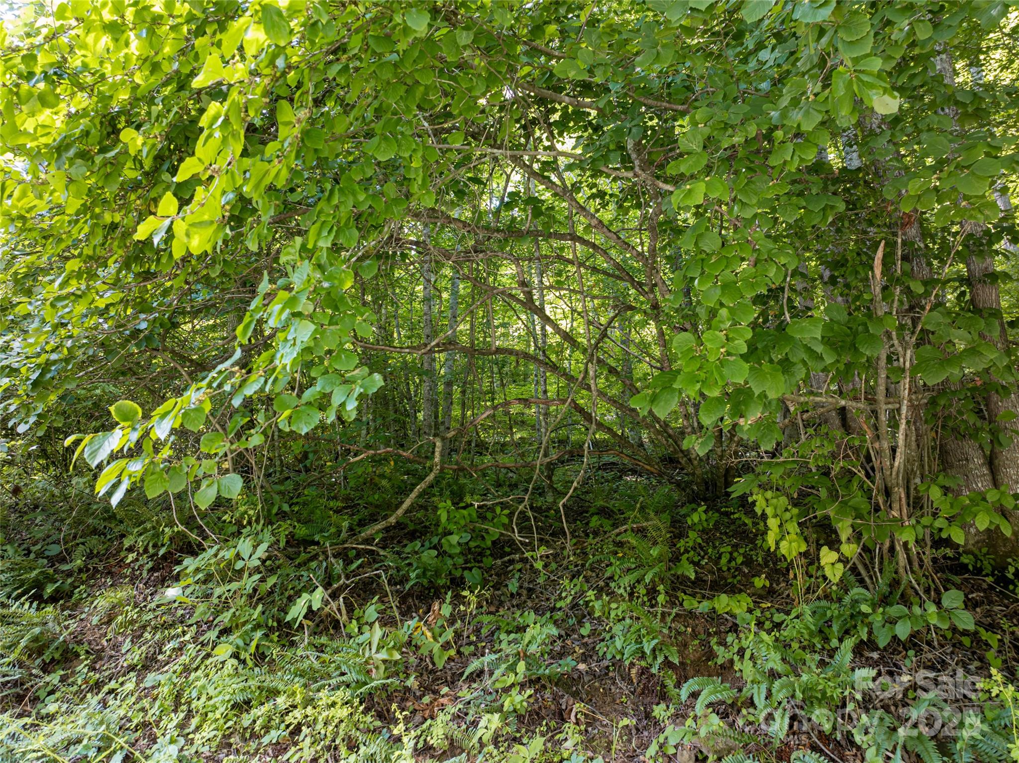 522 Langford Branch Road Property Photo 10