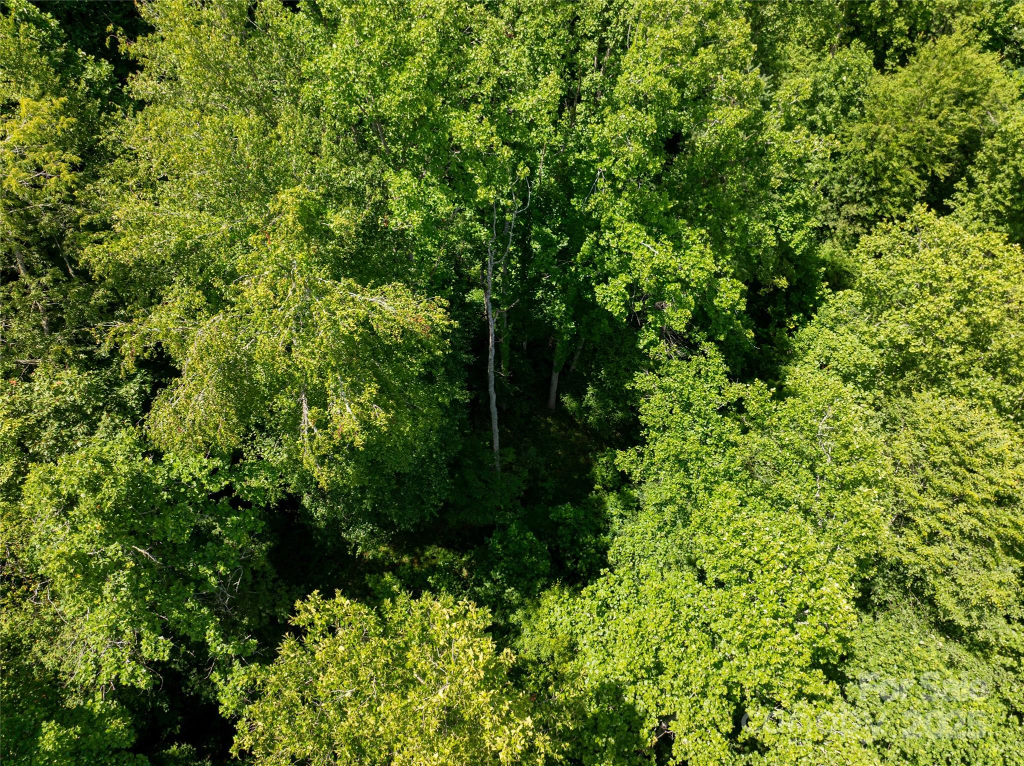522 Langford Branch Road Property Photo 11