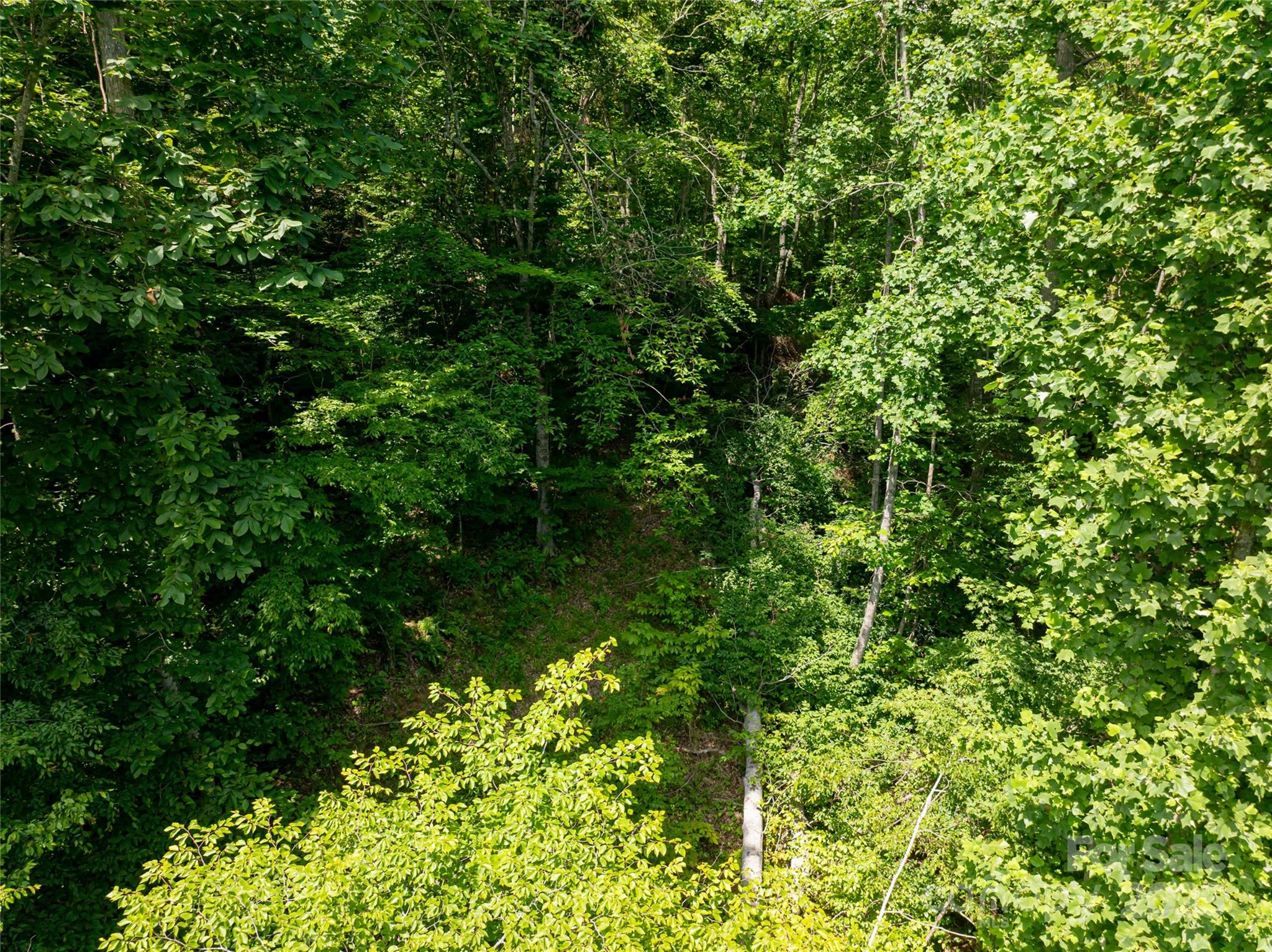 522 Langford Branch Road Property Photo 13