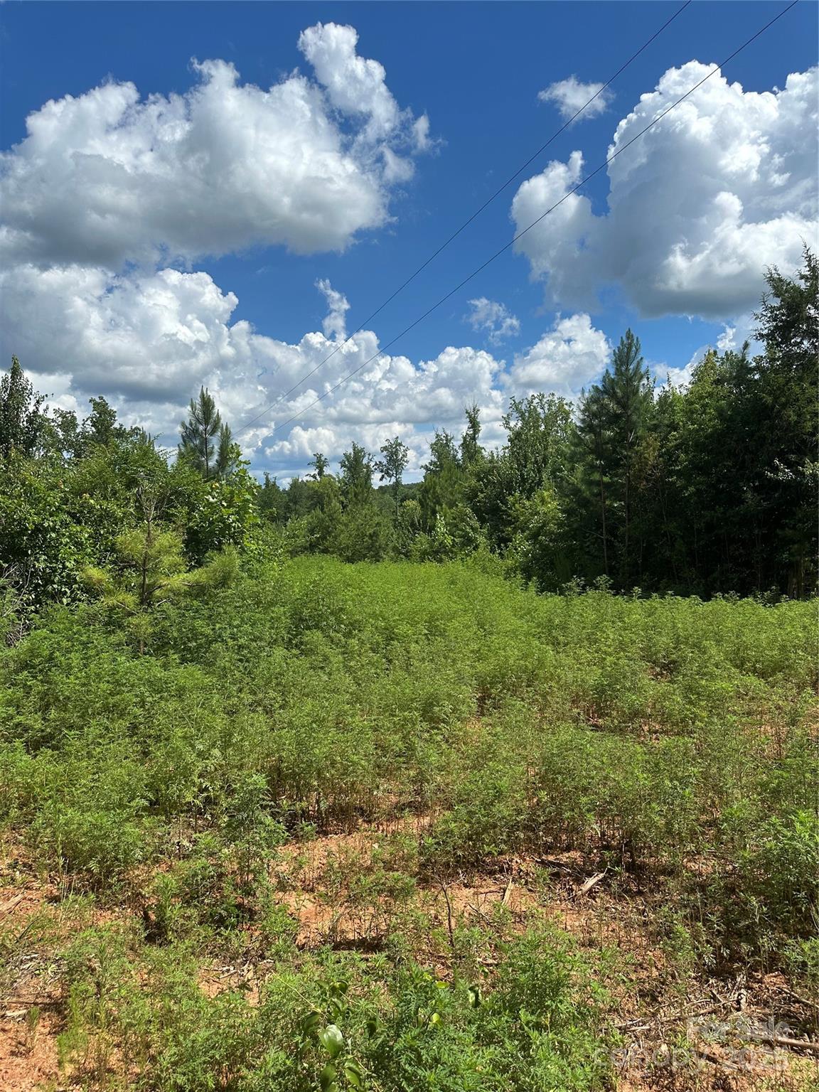 000 Mauney Road Property Photo 1